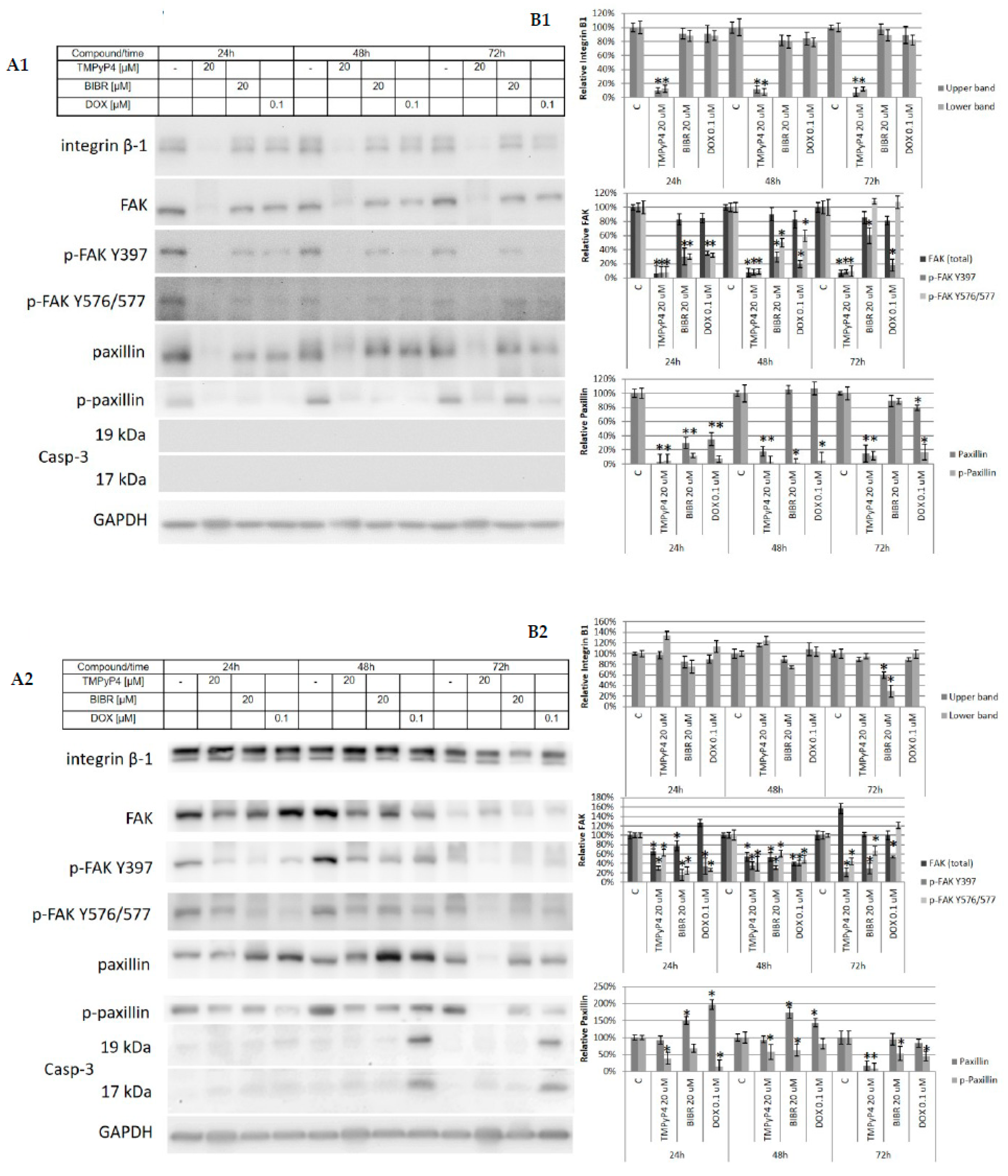 Ijms 20 02670 g009 Ijms 20 02670 g009