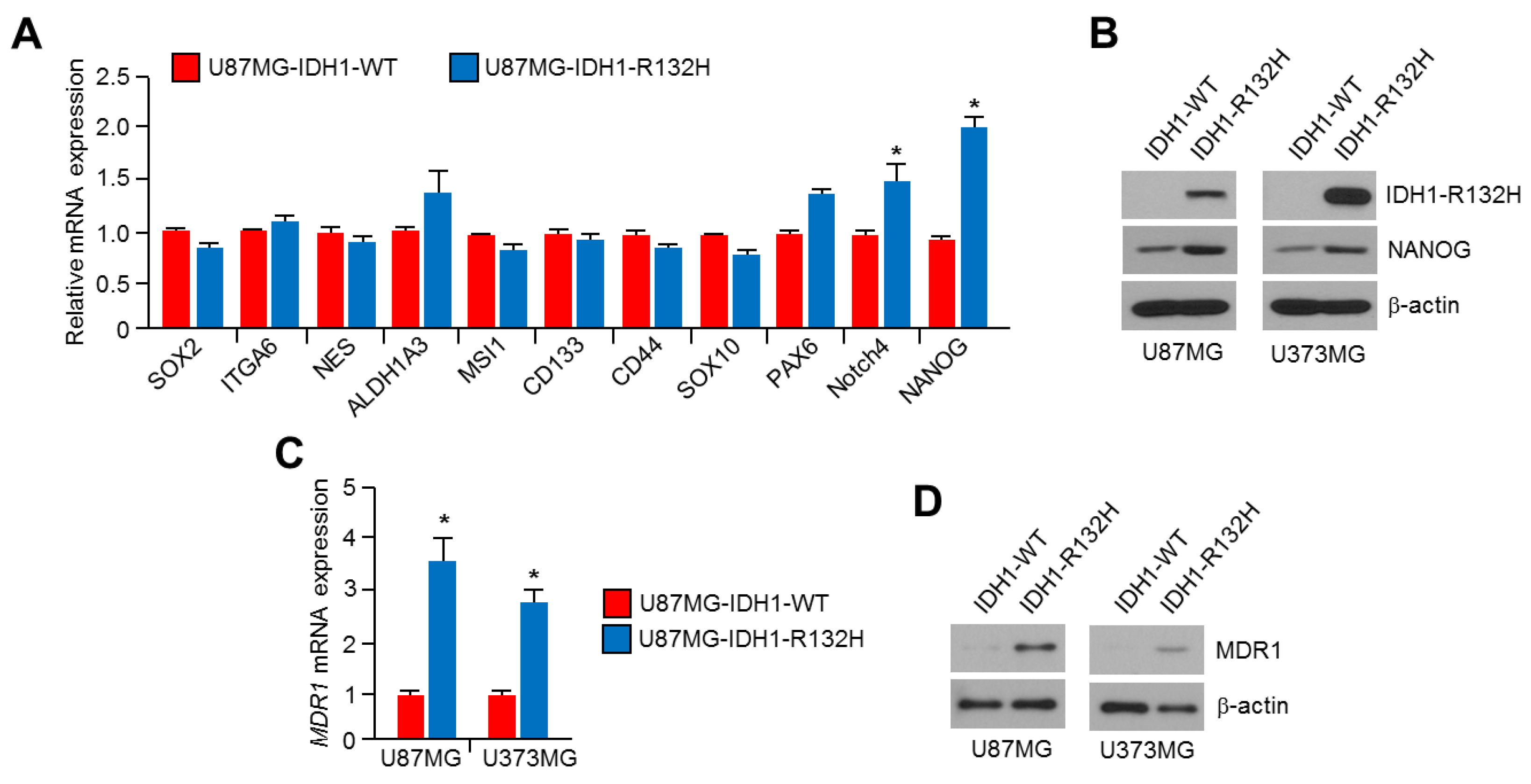 Ijms 20 02679 g003 Ijms 20 02679 g003