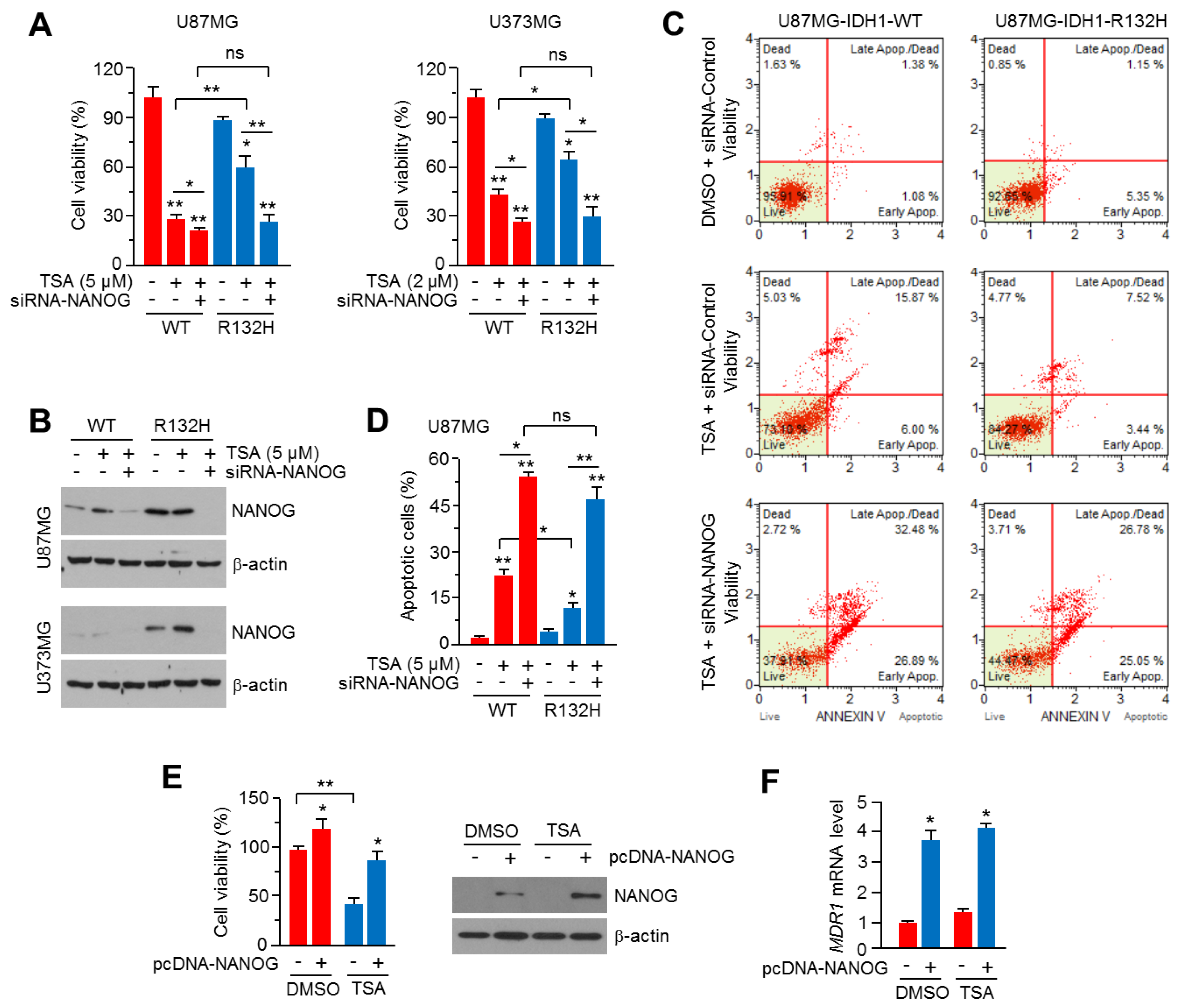 Ijms 20 02679 g005 Ijms 20 02679 g005