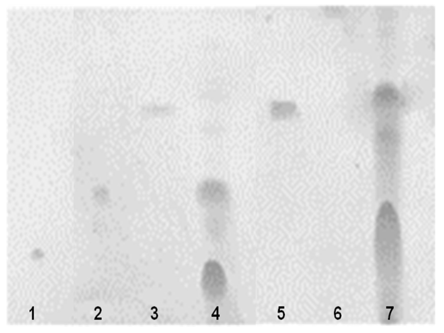 Ijms 20 02693 g004