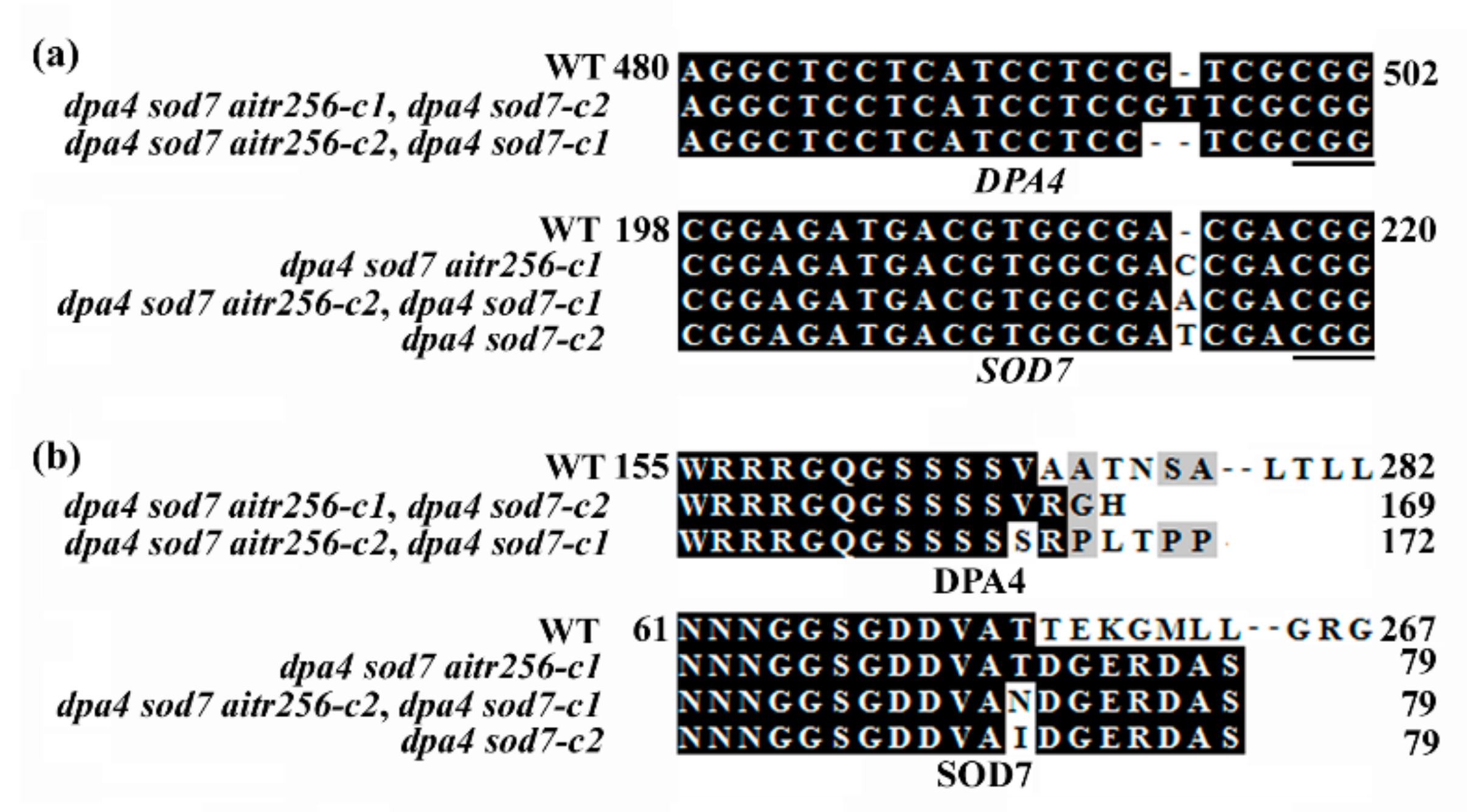 Ijms 20 02695 g001 Ijms 20 02695 g001