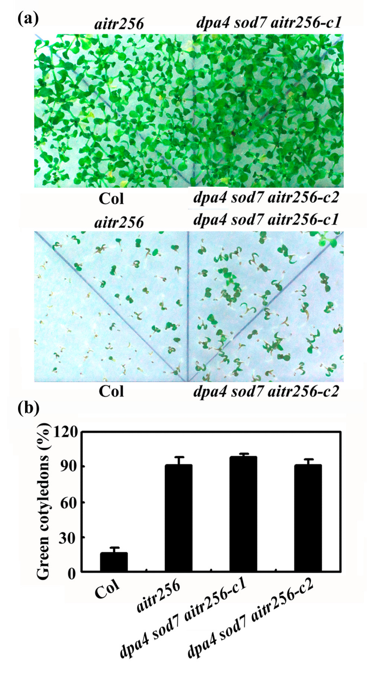 Ijms 20 02695 g003 Ijms 20 02695 g003