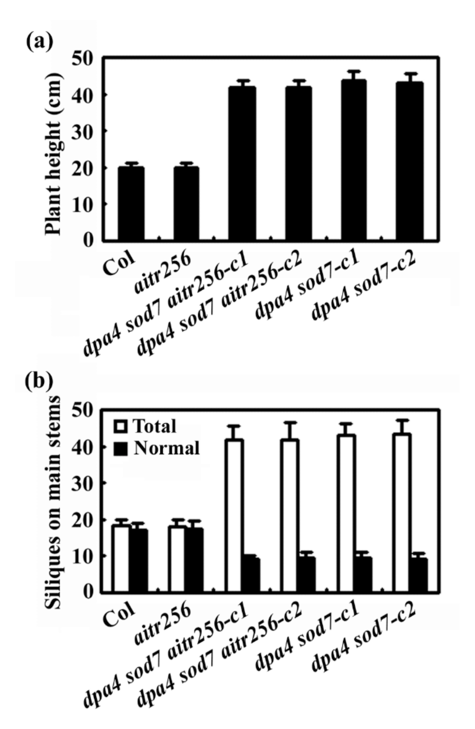 Ijms 20 02695 g006 Ijms 20 02695 g006
