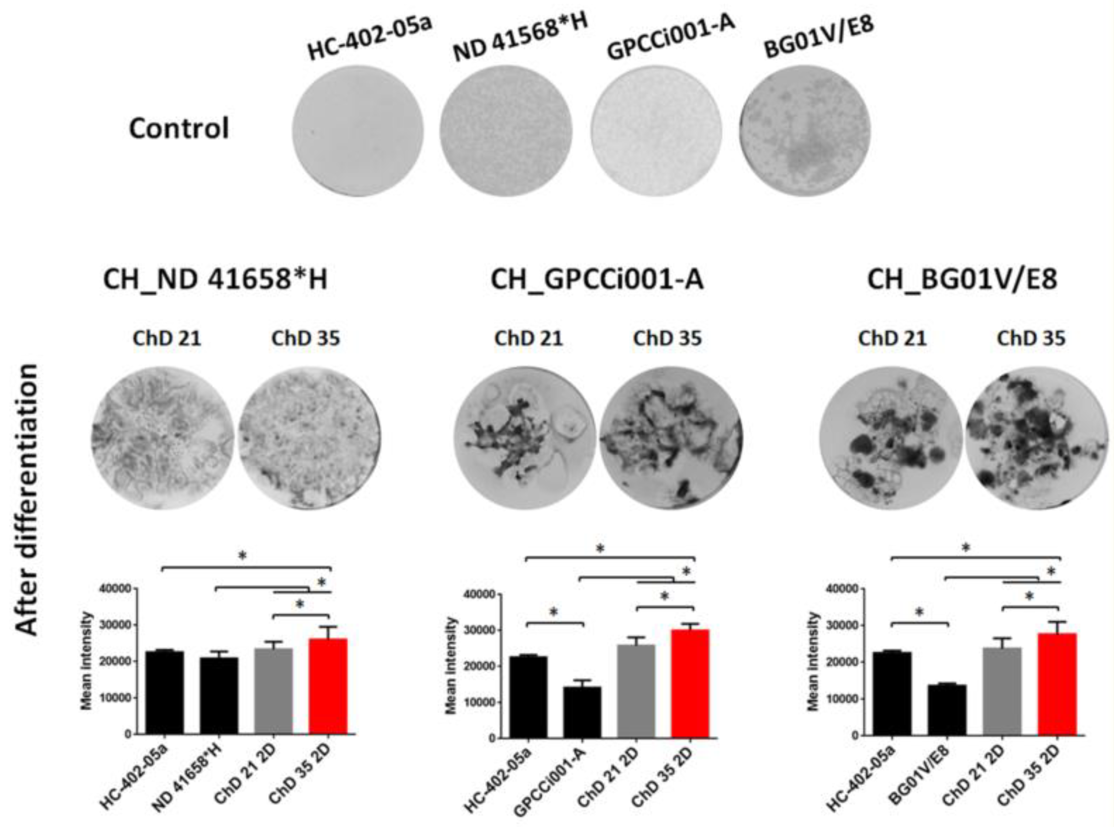 Ijms 20 02711 g005 Ijms 20 02711 g005
