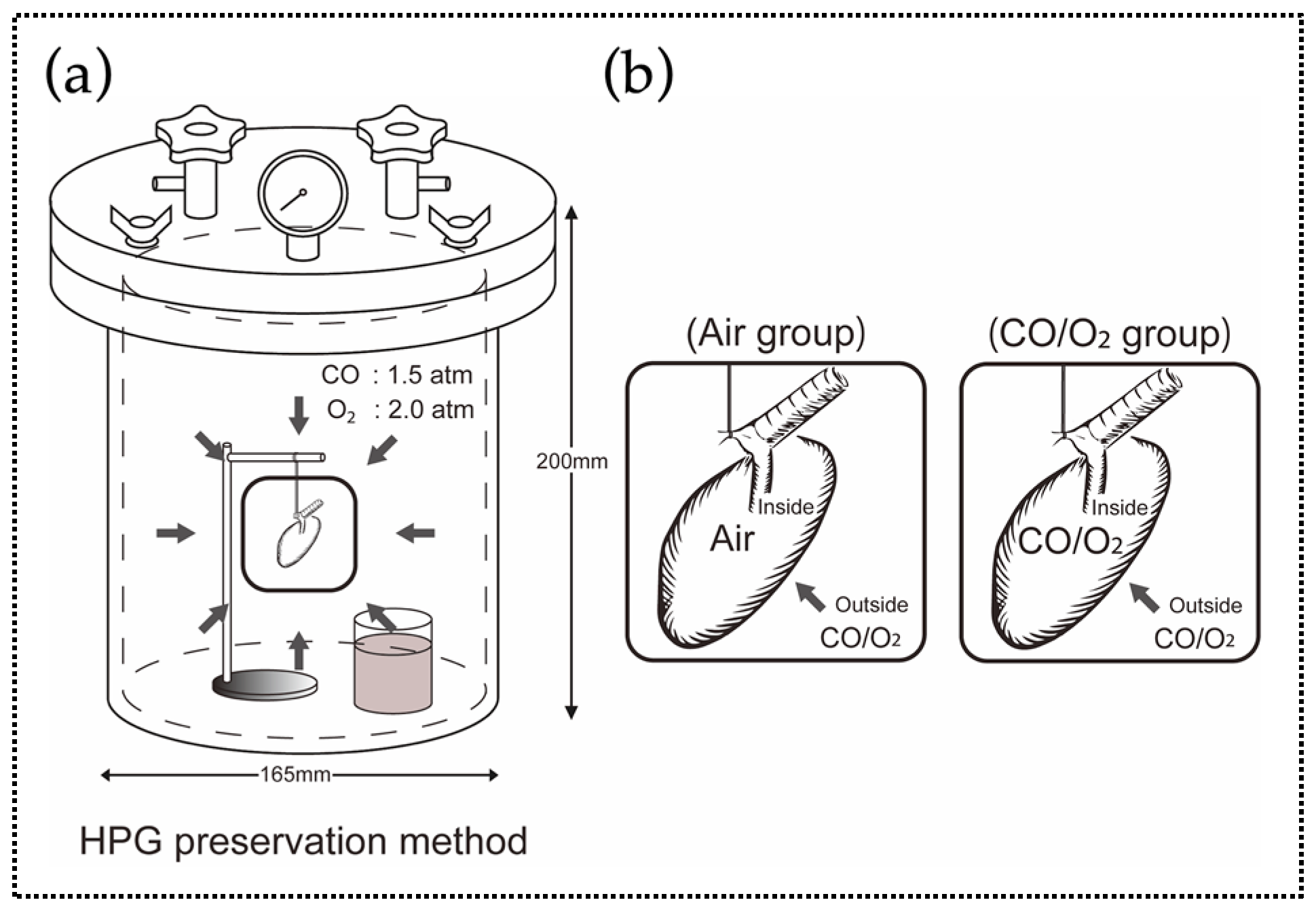 Ijms 20 02719 g001 Ijms 20 02719 g001