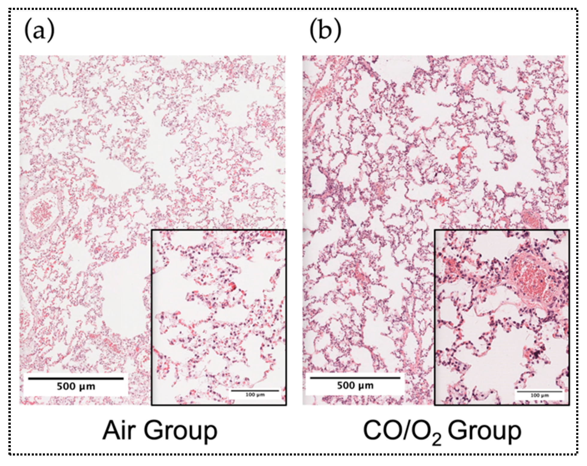Ijms 20 02719 g005 Ijms 20 02719 g005