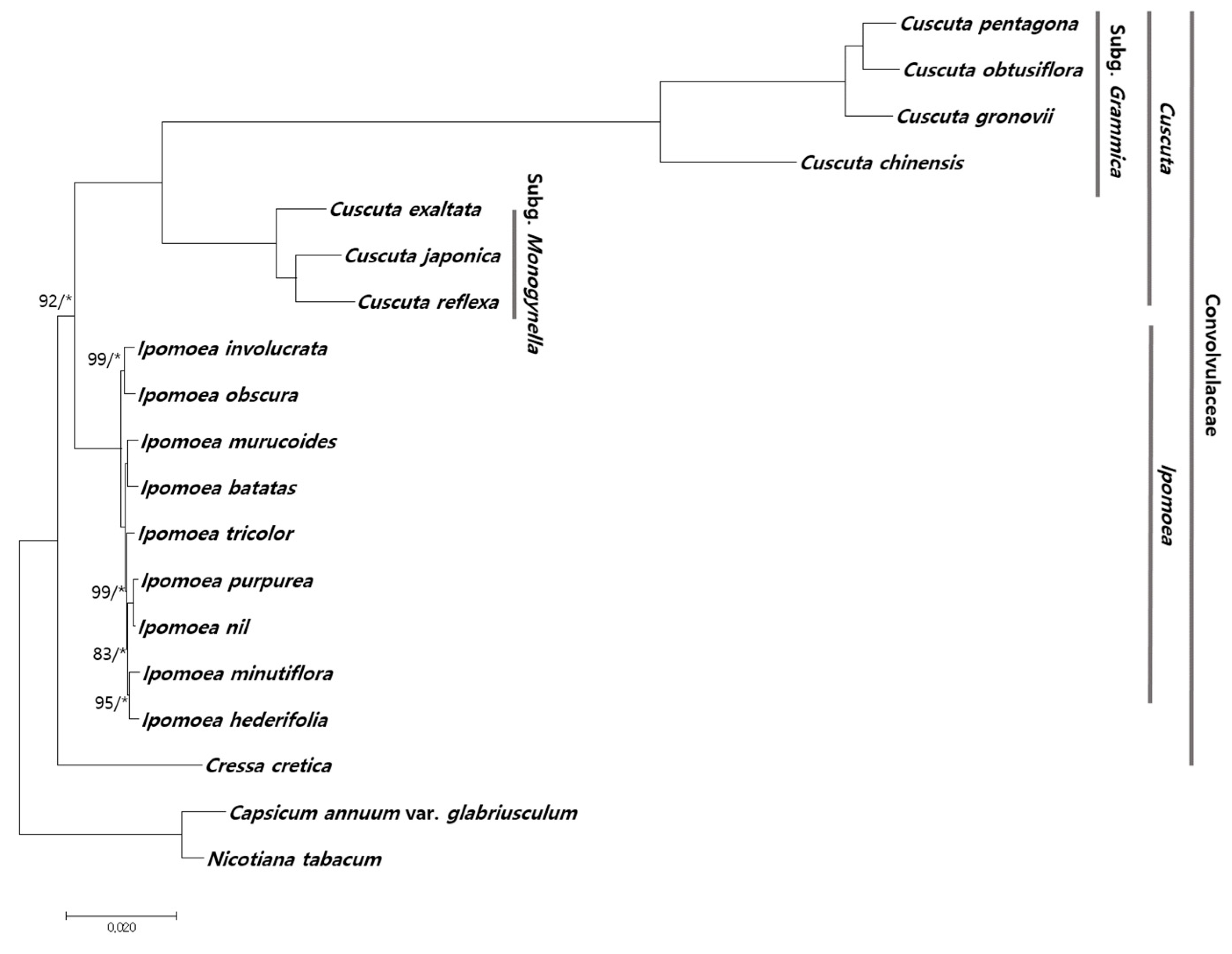 Ijms 20 02726 g004 Ijms 20 02726 g004