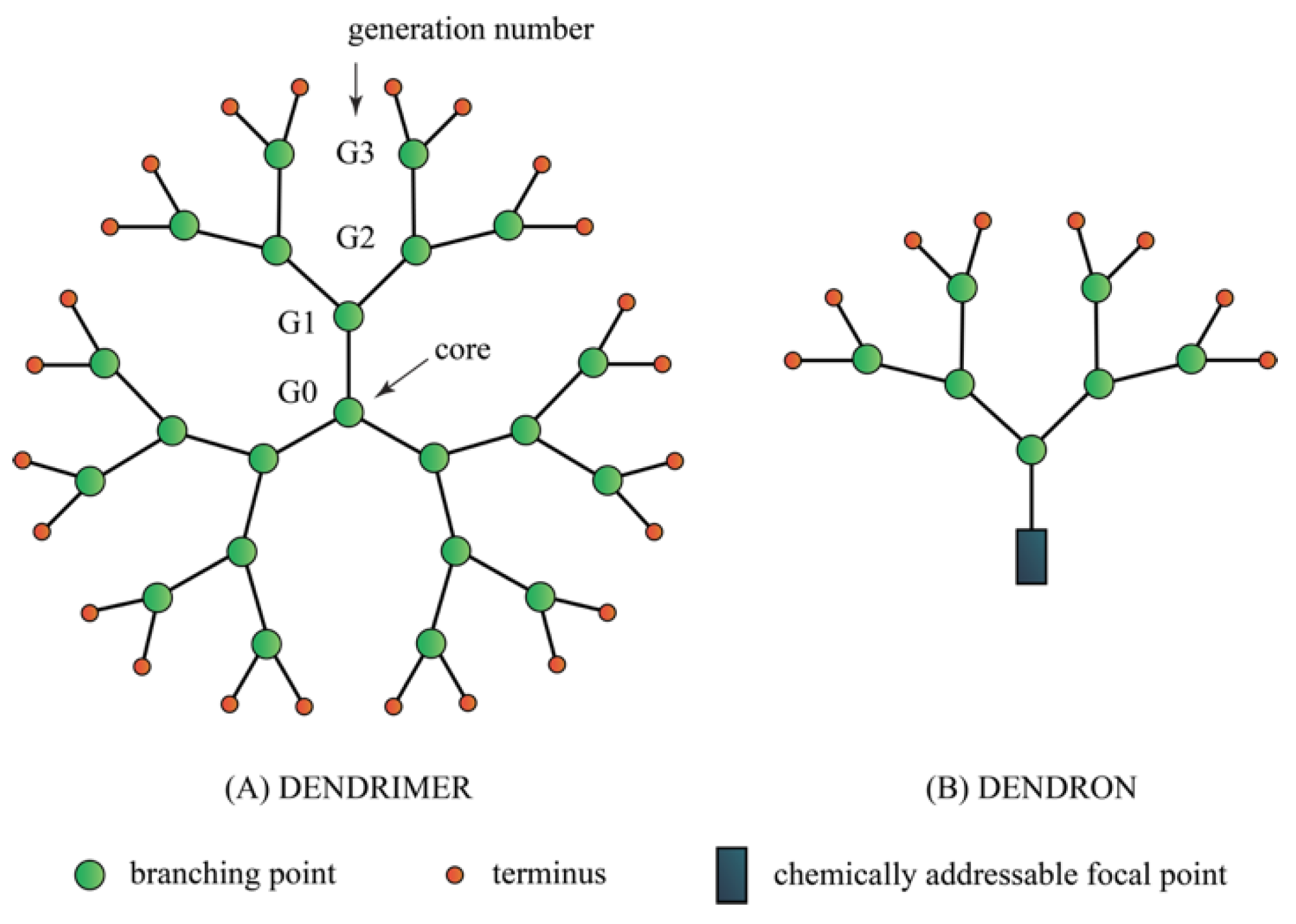 Ijms 20 02747 g008 Ijms 20 02747 g008