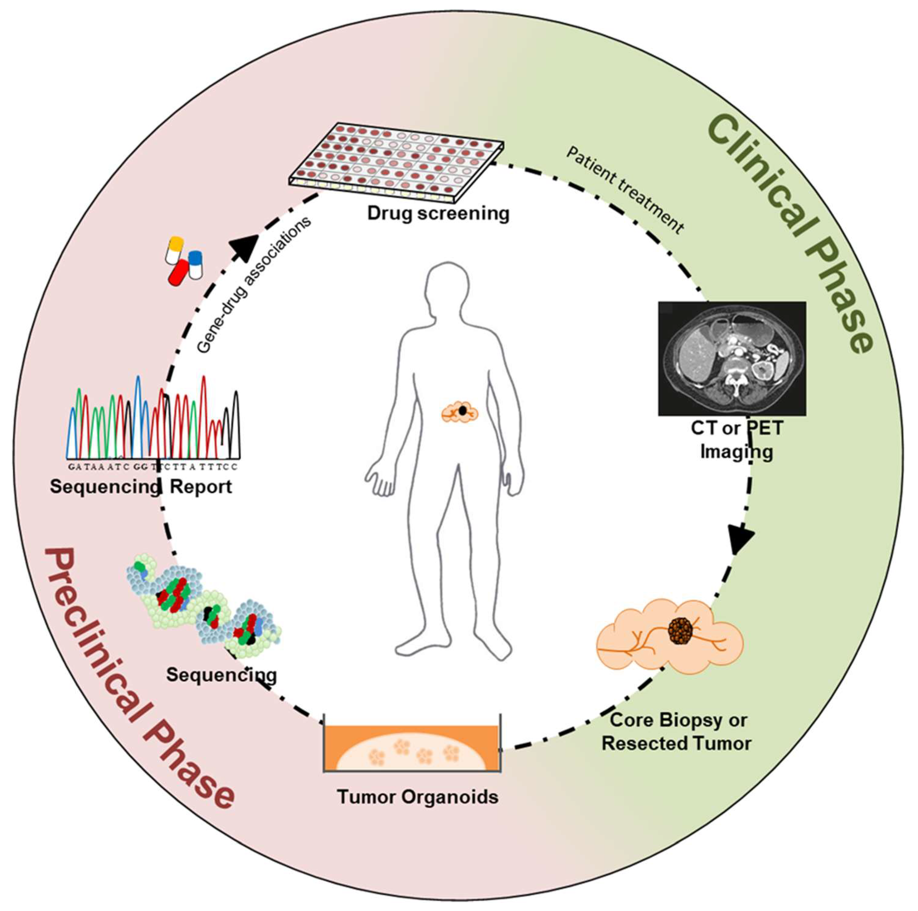 Ijms 20 02766 g001 Ijms 20 02766 g001