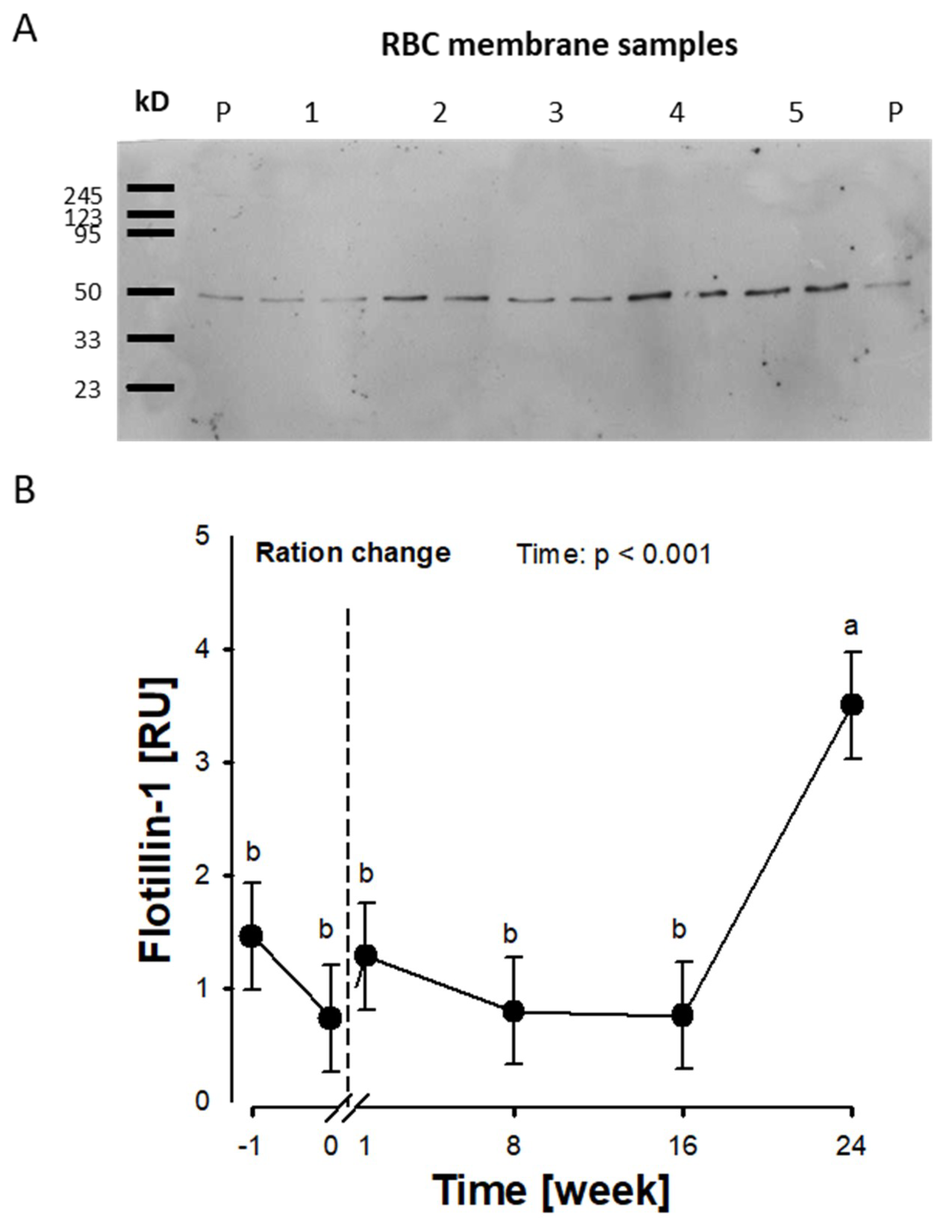 Ijms 20 02769 g002 Ijms 20 02769 g002