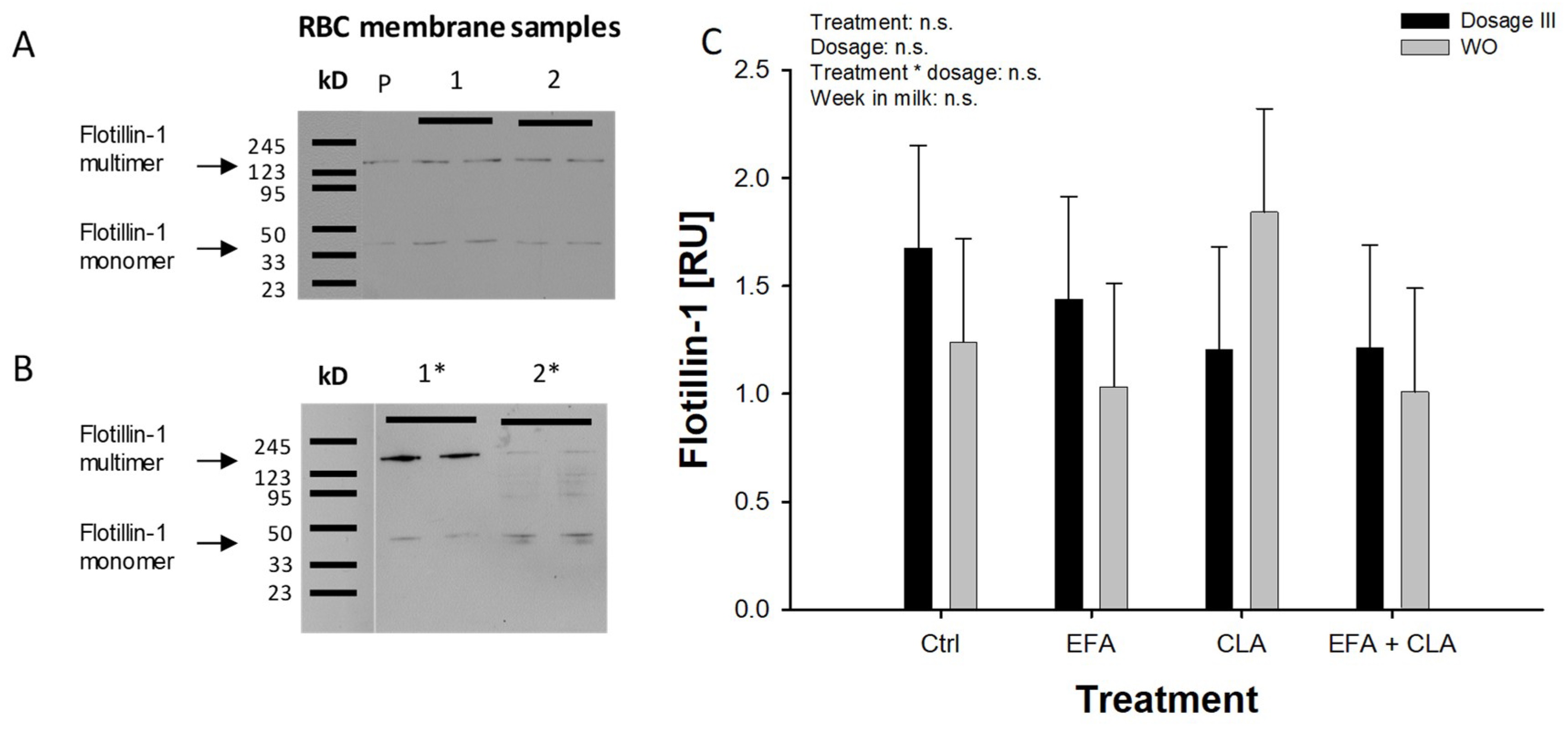 Ijms 20 02769 g003 Ijms 20 02769 g003