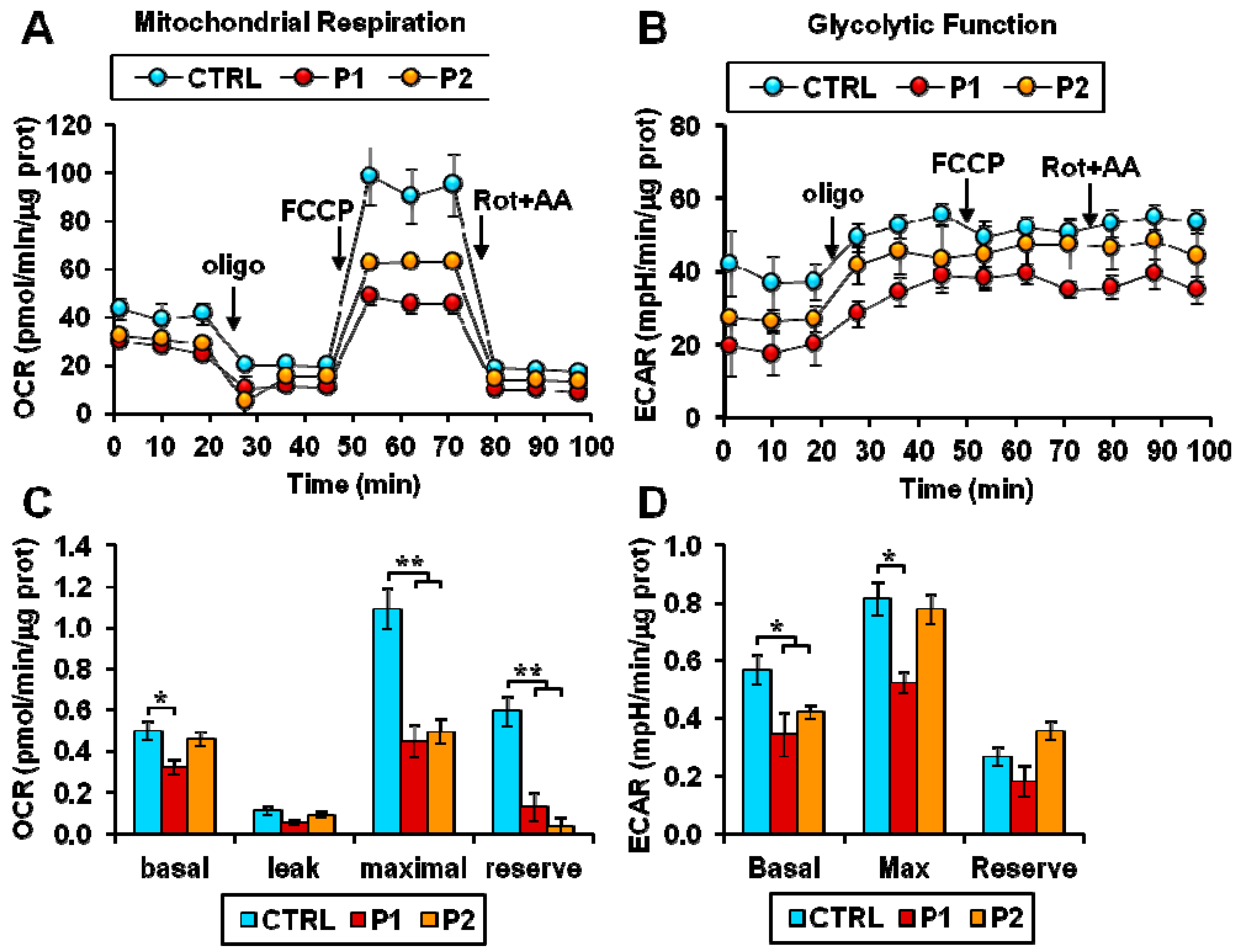 Ijms 20 02772 g002 Ijms 20 02772 g002