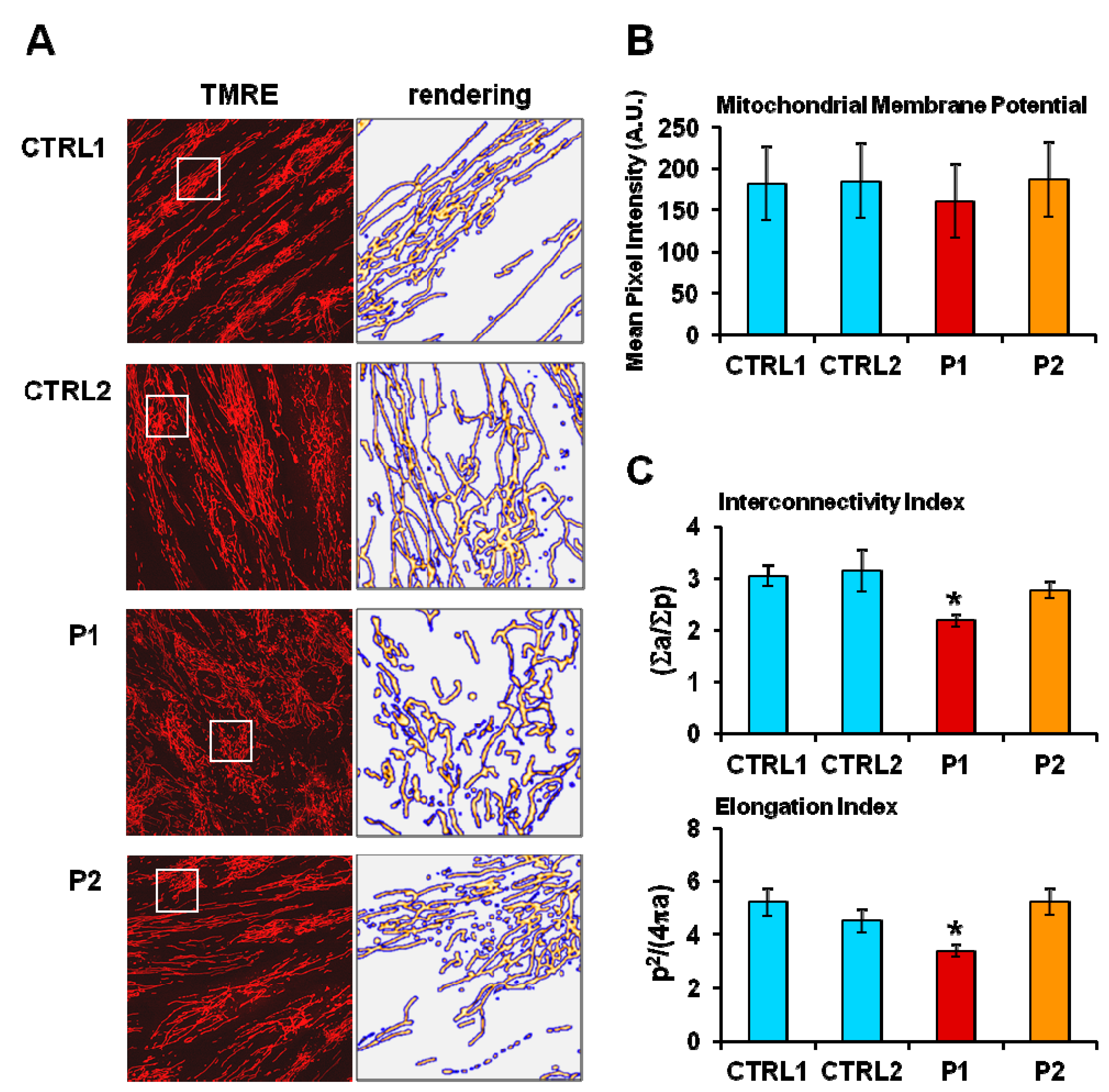 Ijms 20 02772 g003 Ijms 20 02772 g003