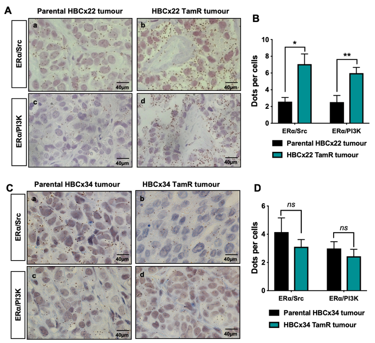 Ijms 20 02773 g001 Ijms 20 02773 g001