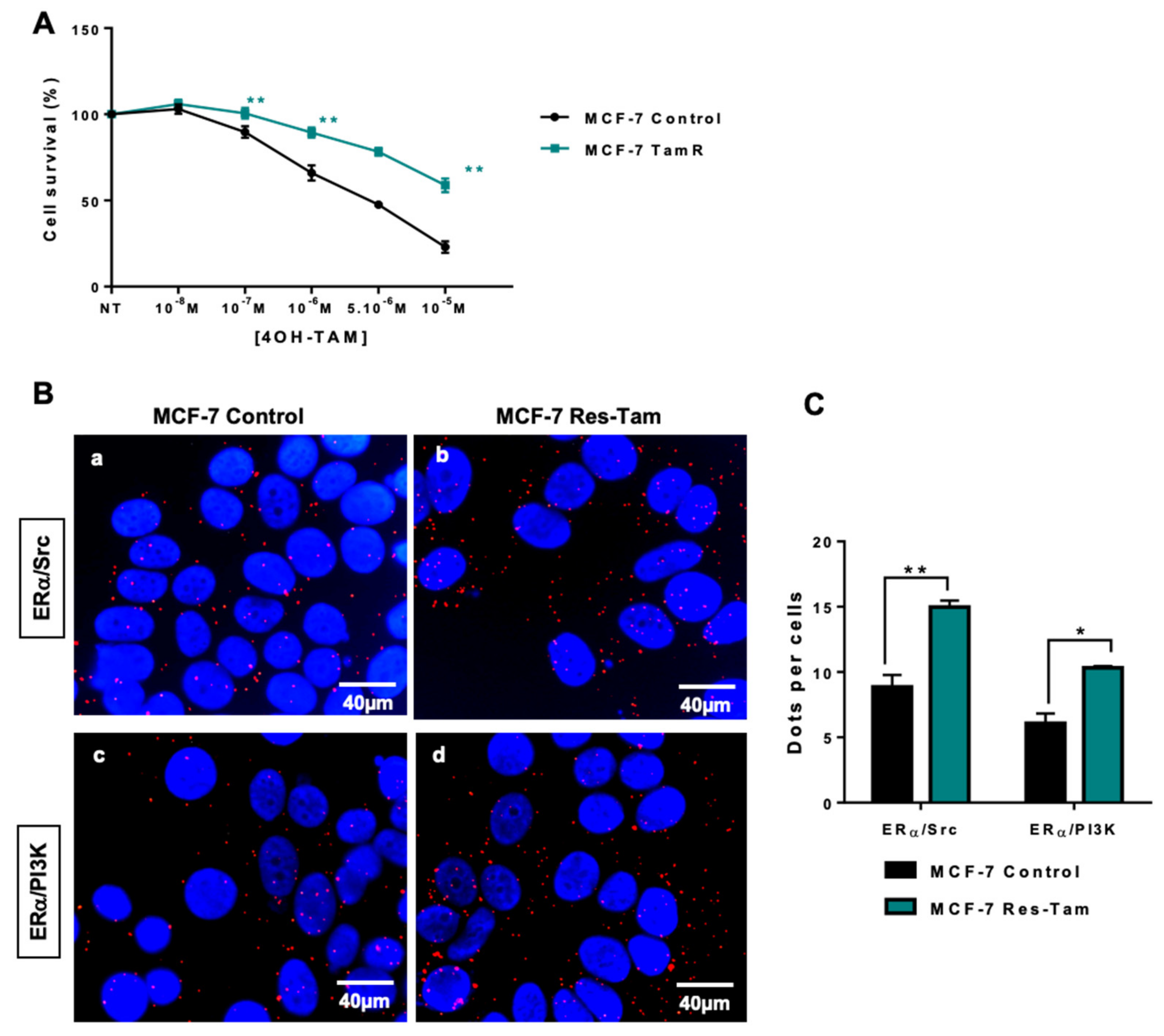 Ijms 20 02773 g003 Ijms 20 02773 g003
