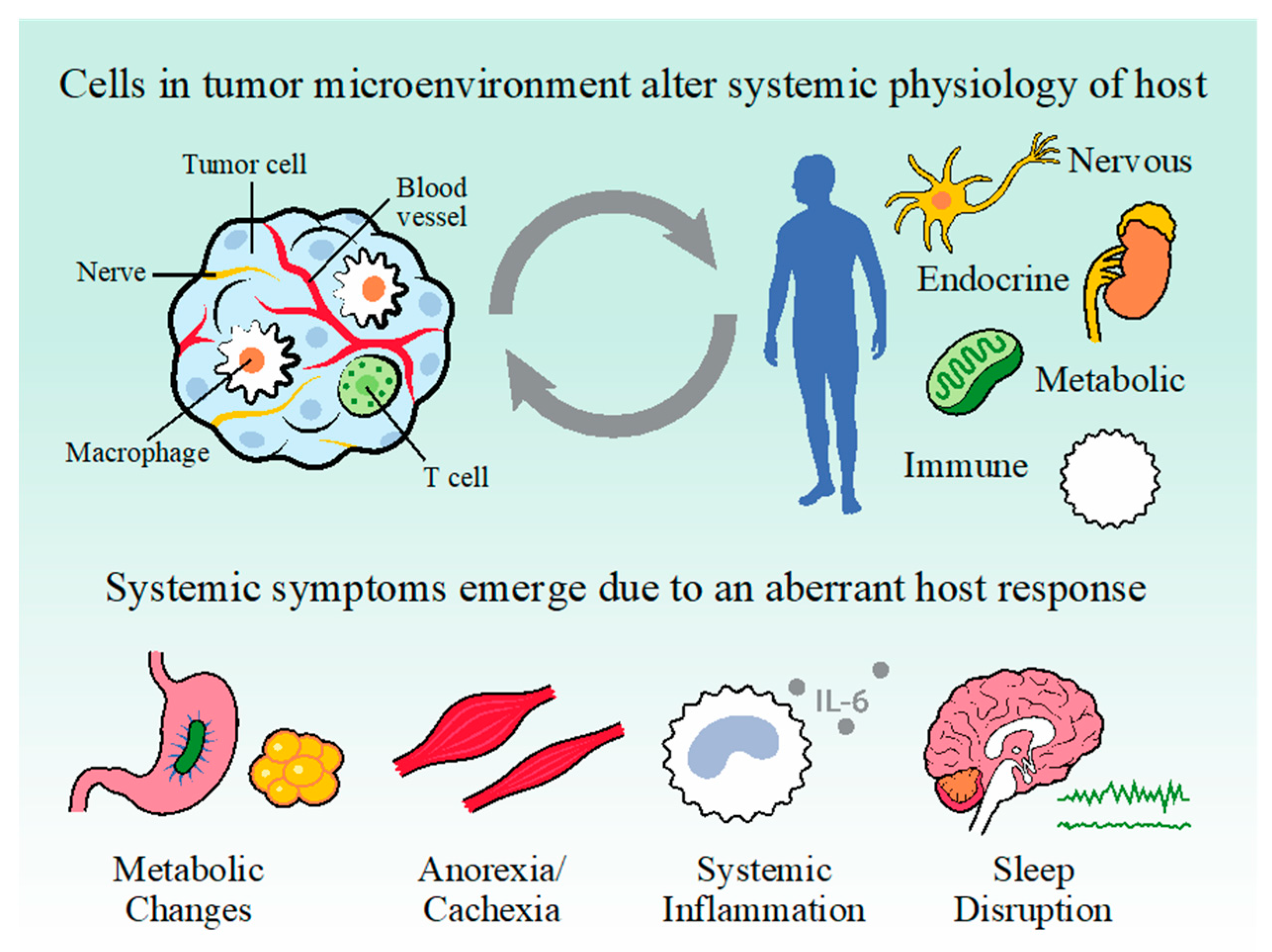 IJMS | Free Full-Text | Molecular Mechanisms of Cancer-Induced Sleep Disruption