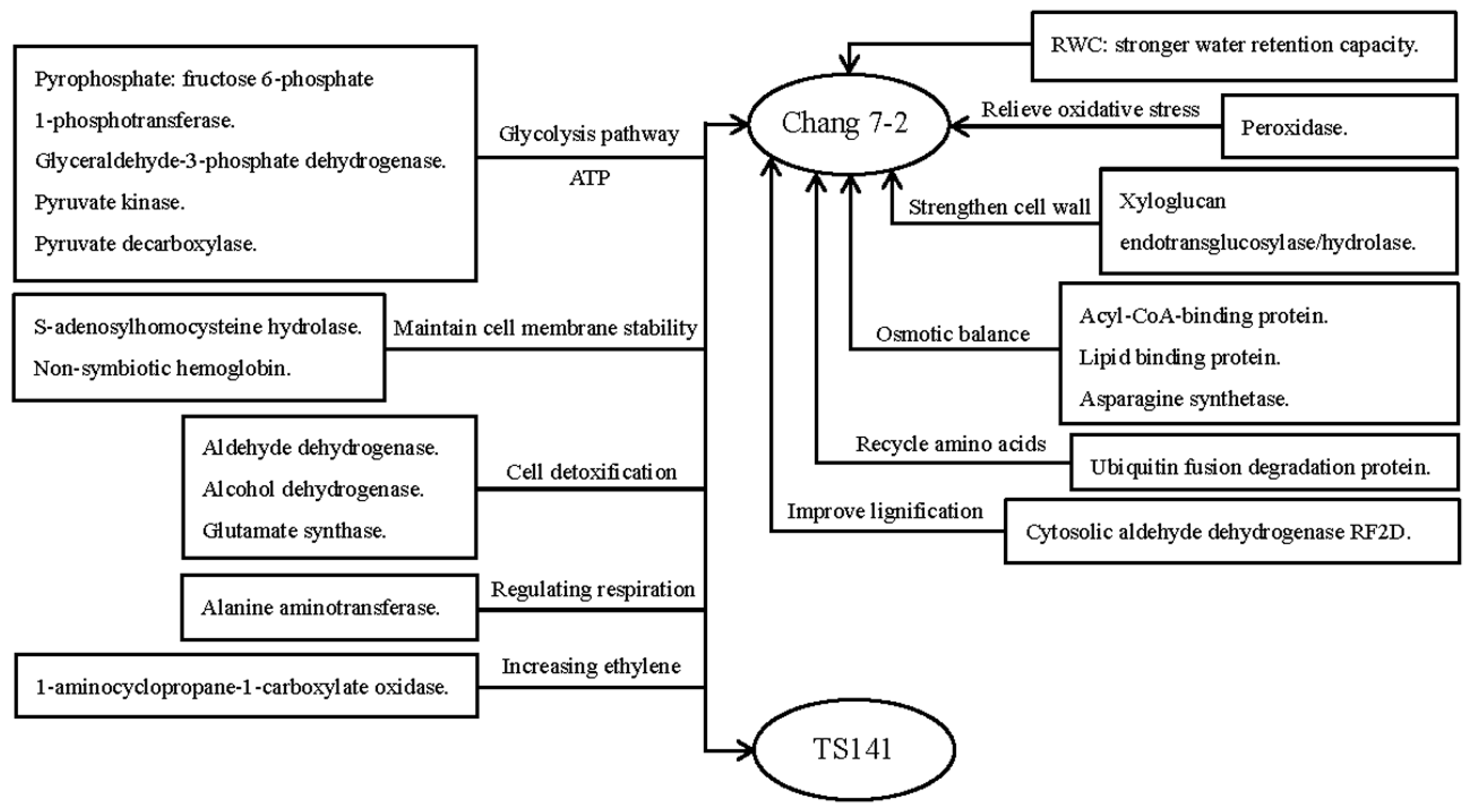 Ijms 20 02793 g008 Ijms 20 02793 g008