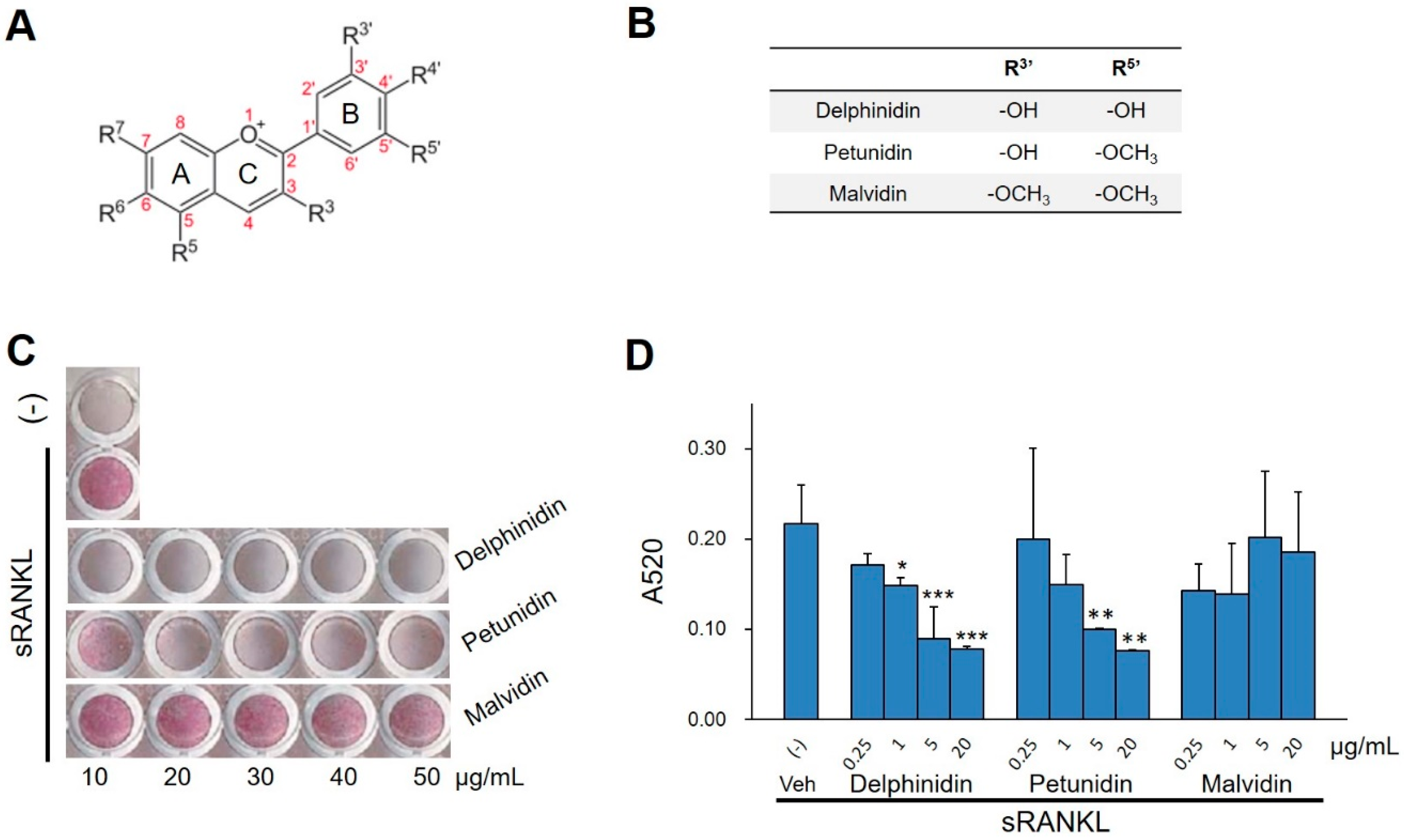 Ijms 20 02795 g001 Ijms 20 02795 g001