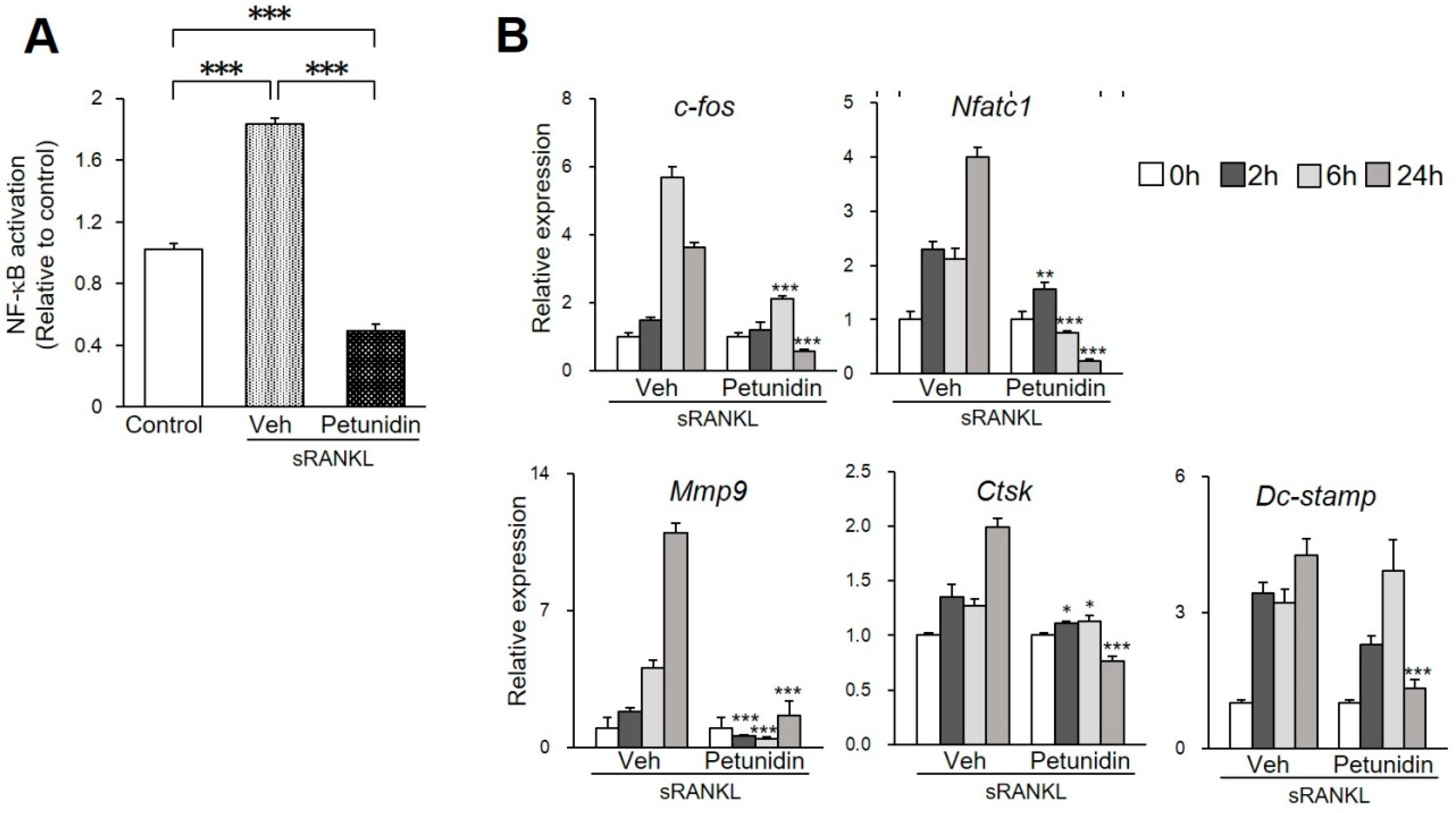 Ijms 20 02795 g002 Ijms 20 02795 g002