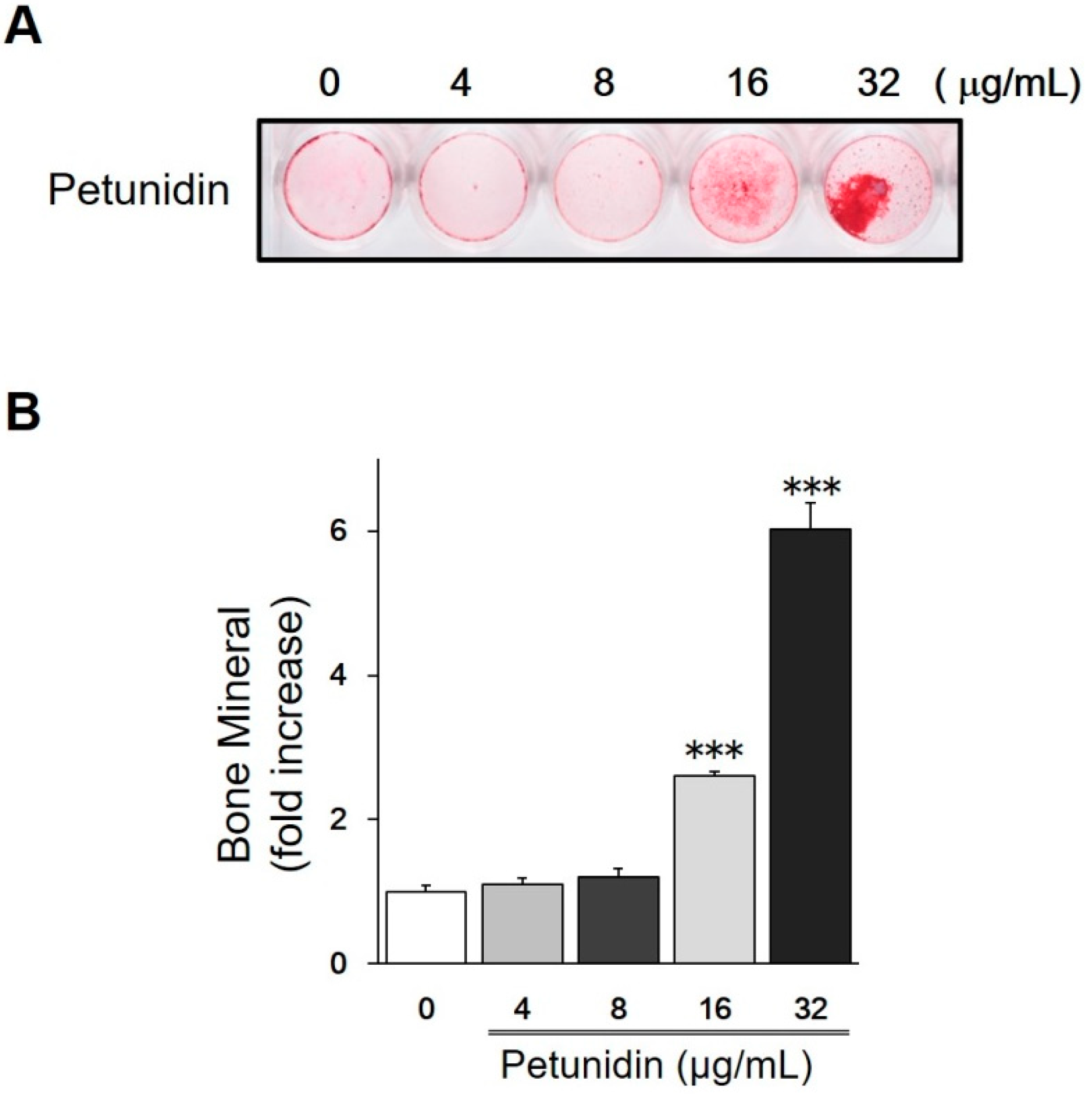 Ijms 20 02795 g003 Ijms 20 02795 g003