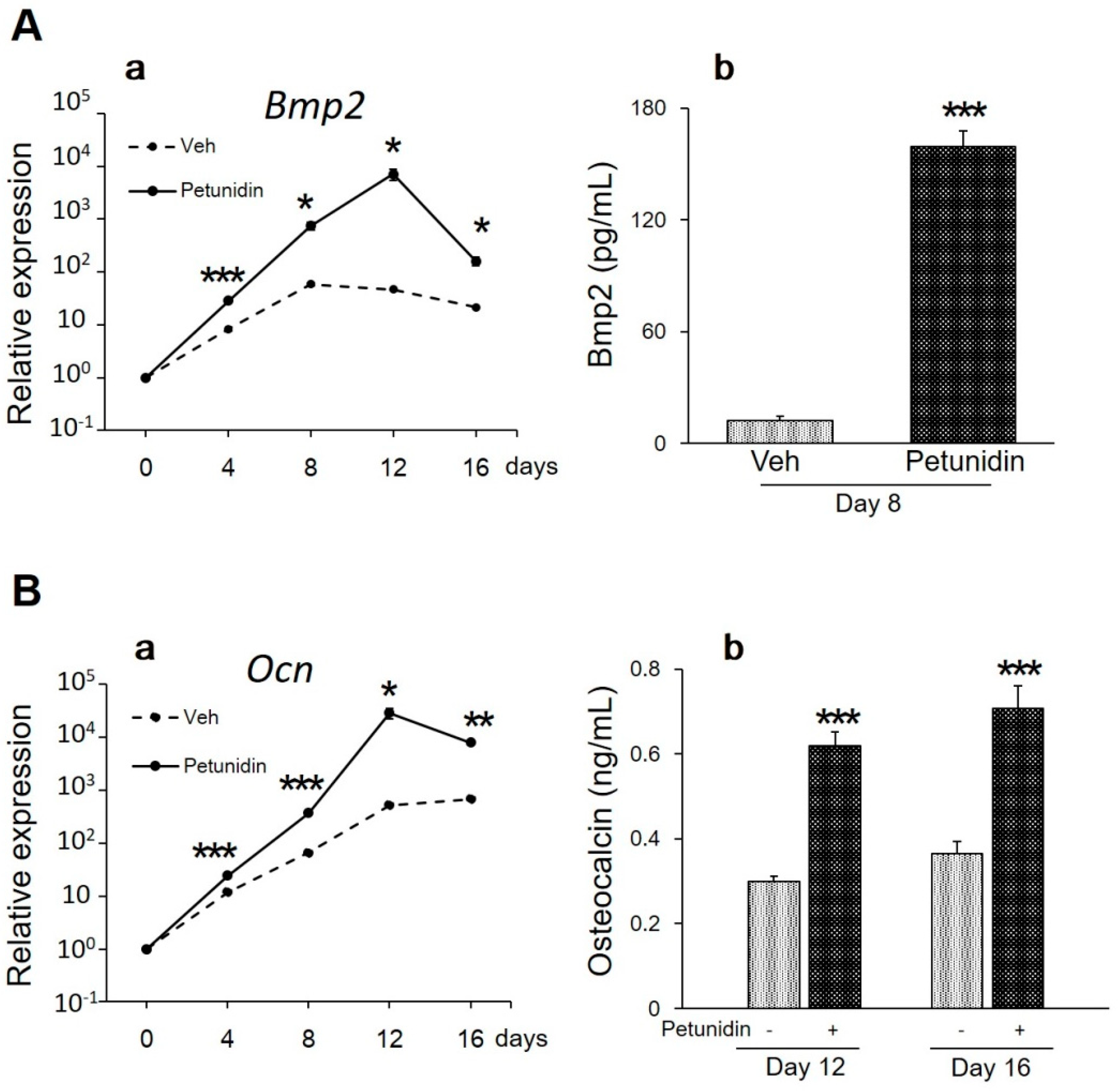Ijms 20 02795 g004 Ijms 20 02795 g004