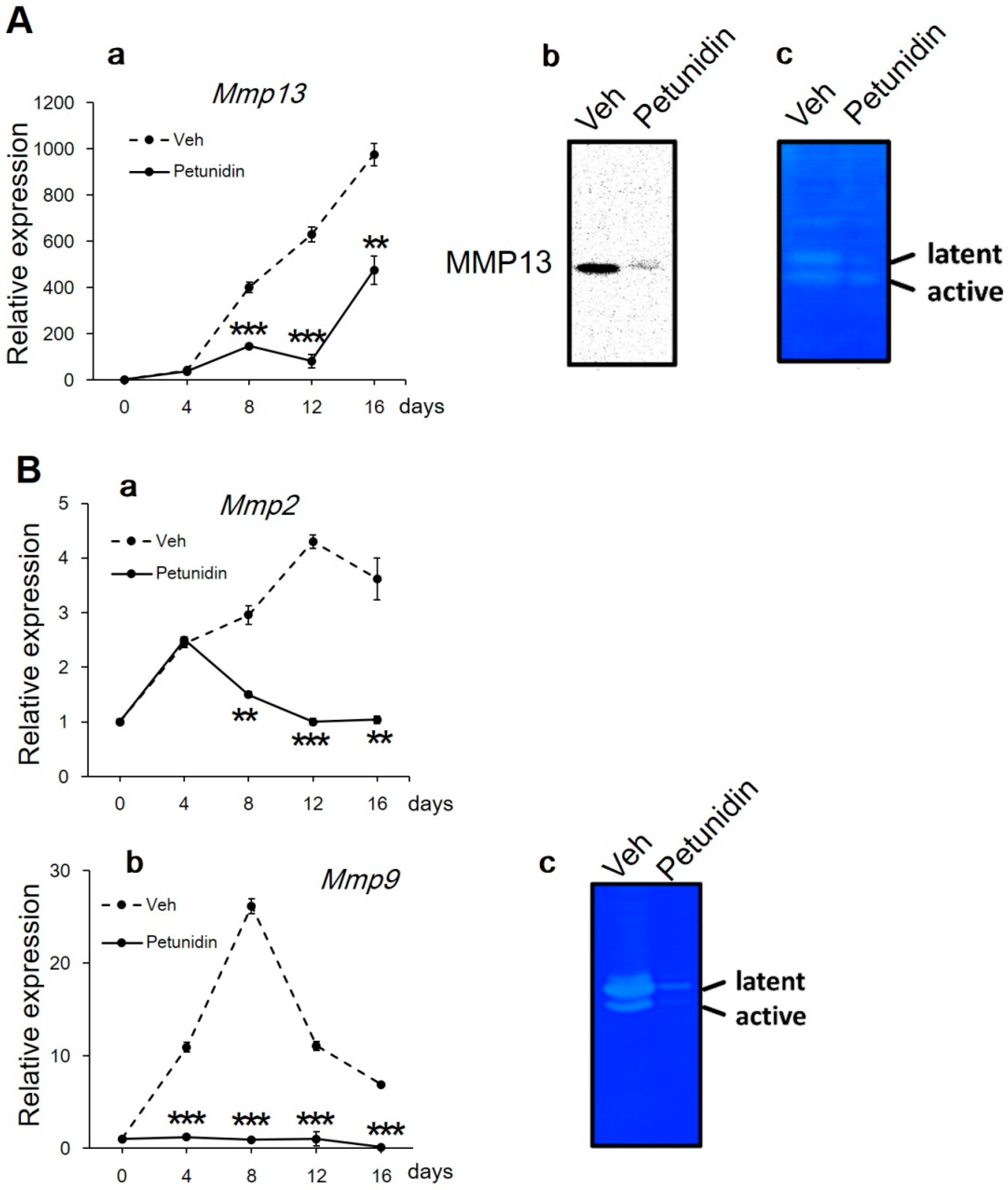Ijms 20 02795 g005 Ijms 20 02795 g005