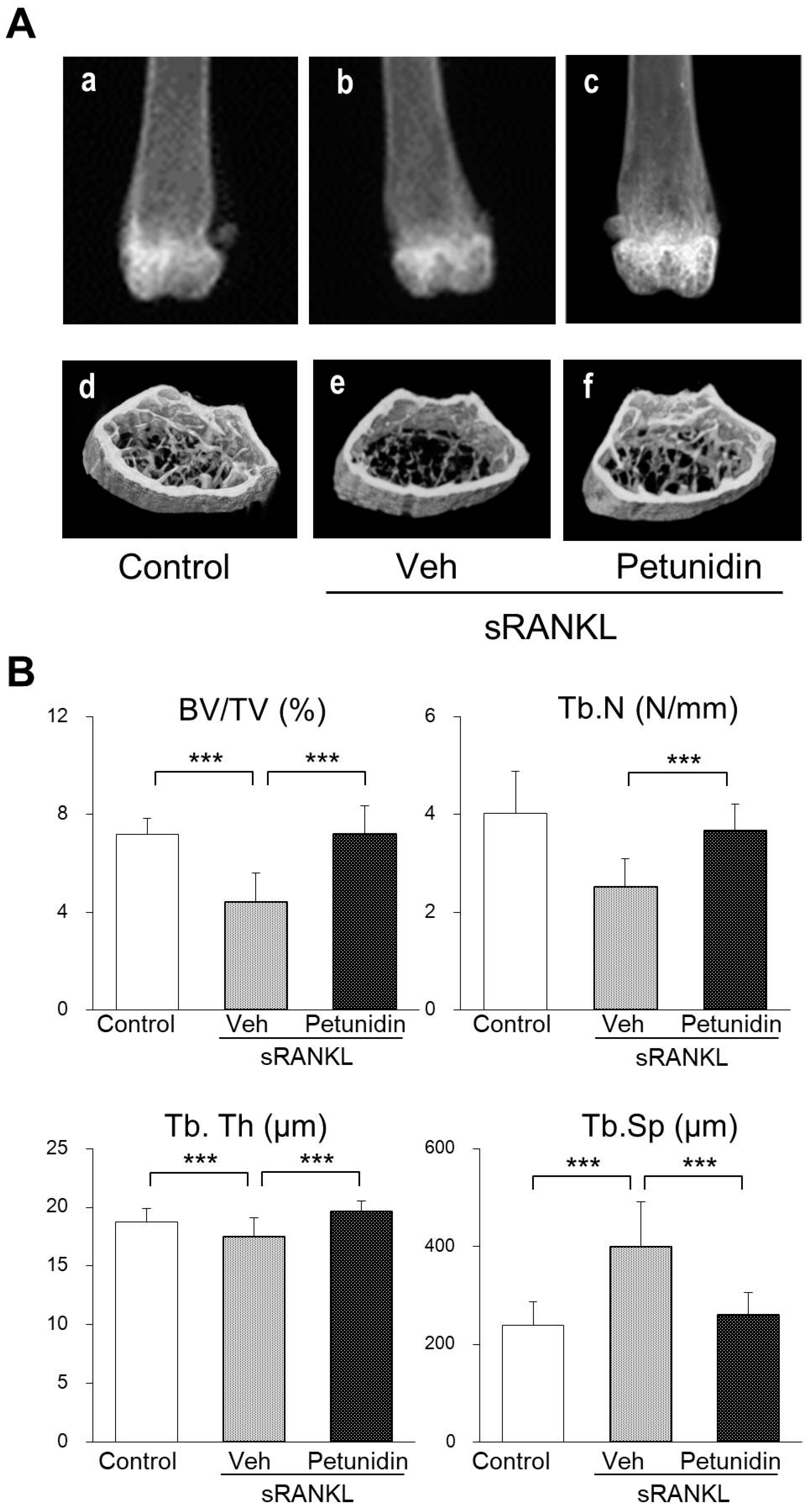 Ijms 20 02795 g007 Ijms 20 02795 g007