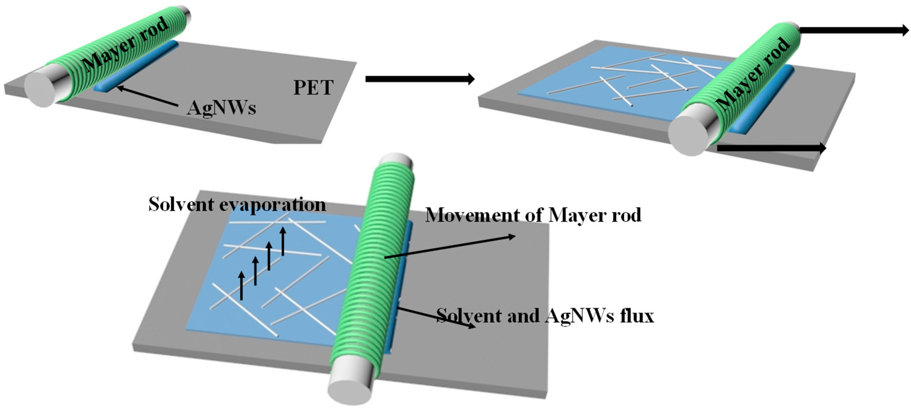 Ijms 20 02803 g004 Ijms 20 02803 g004