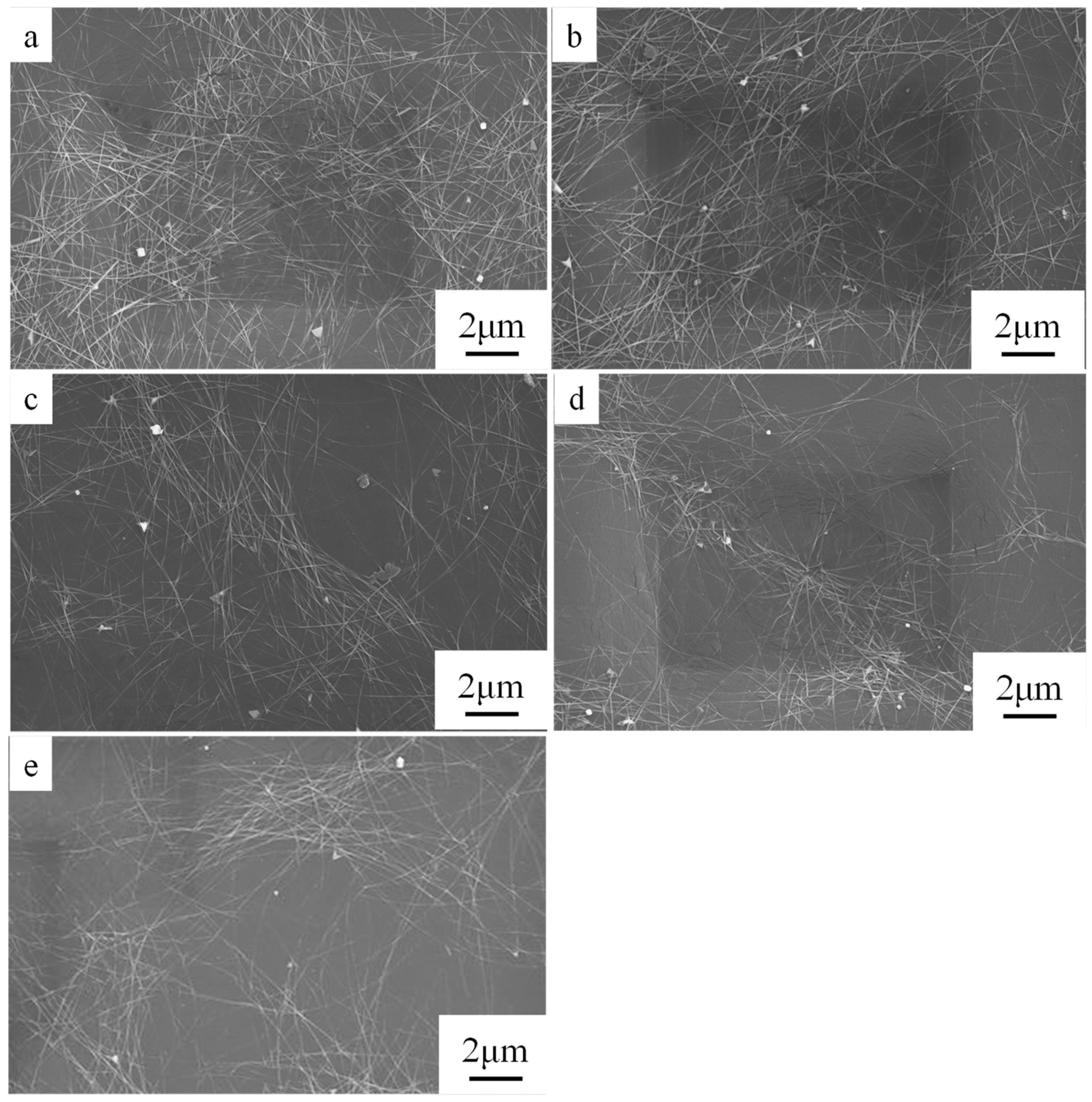 Ijms 20 02803 g007 Ijms 20 02803 g007