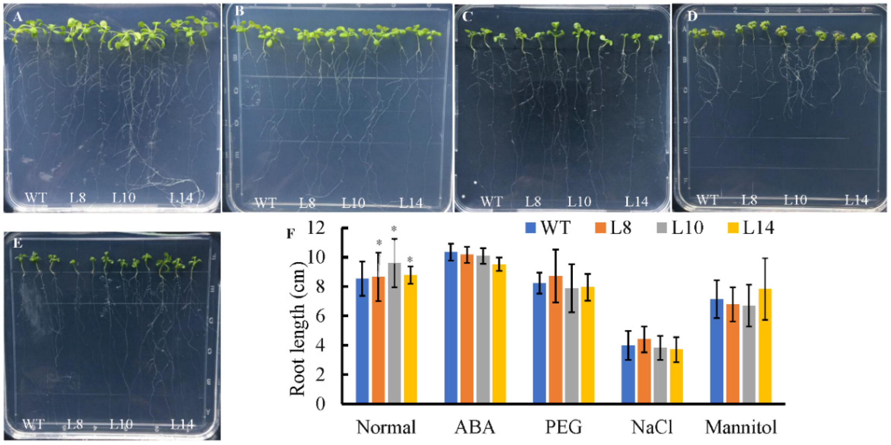 Ijms 20 02815 g005 Ijms 20 02815 g005
