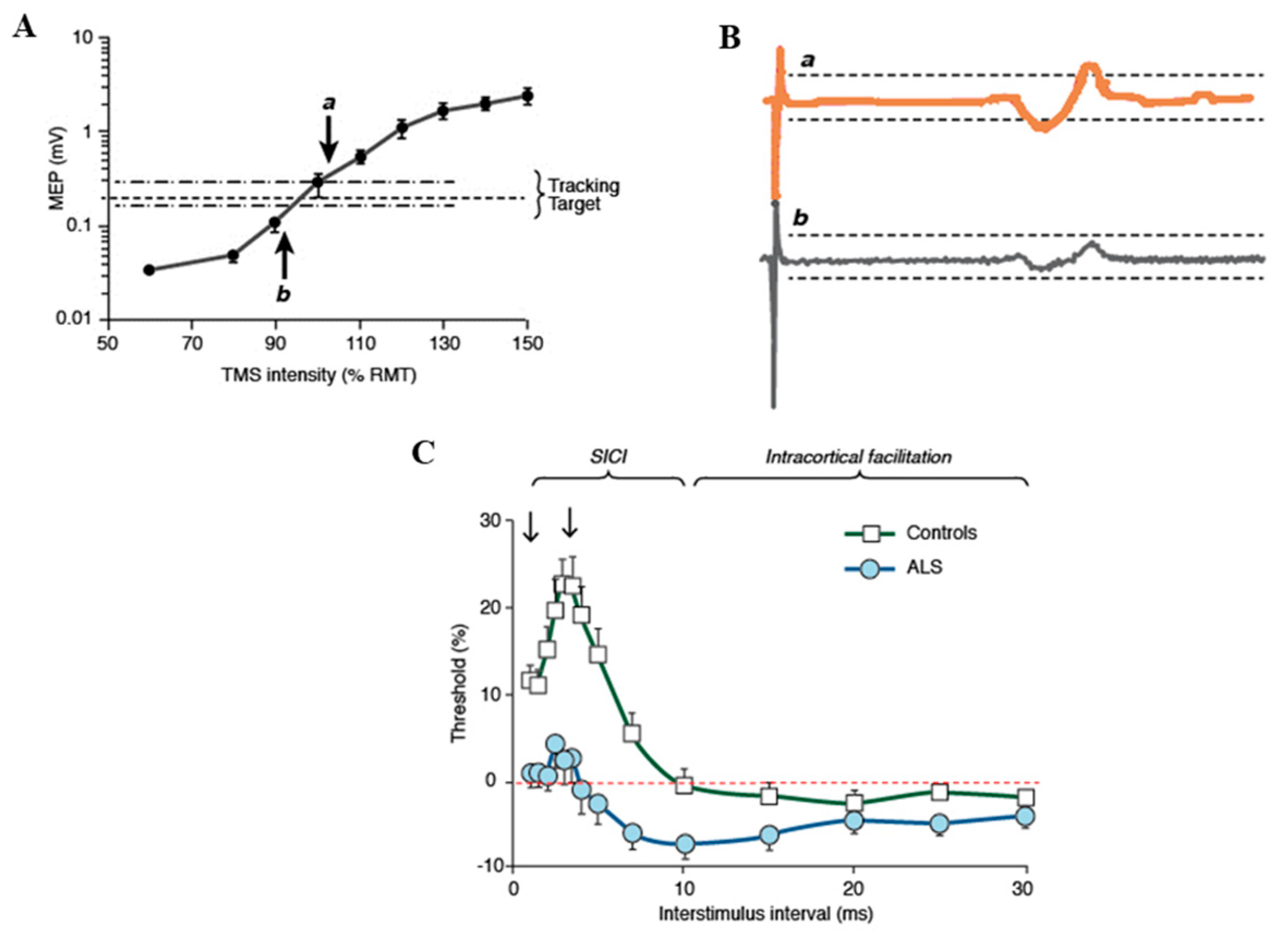 Ijms 20 02818 g004 Ijms 20 02818 g004