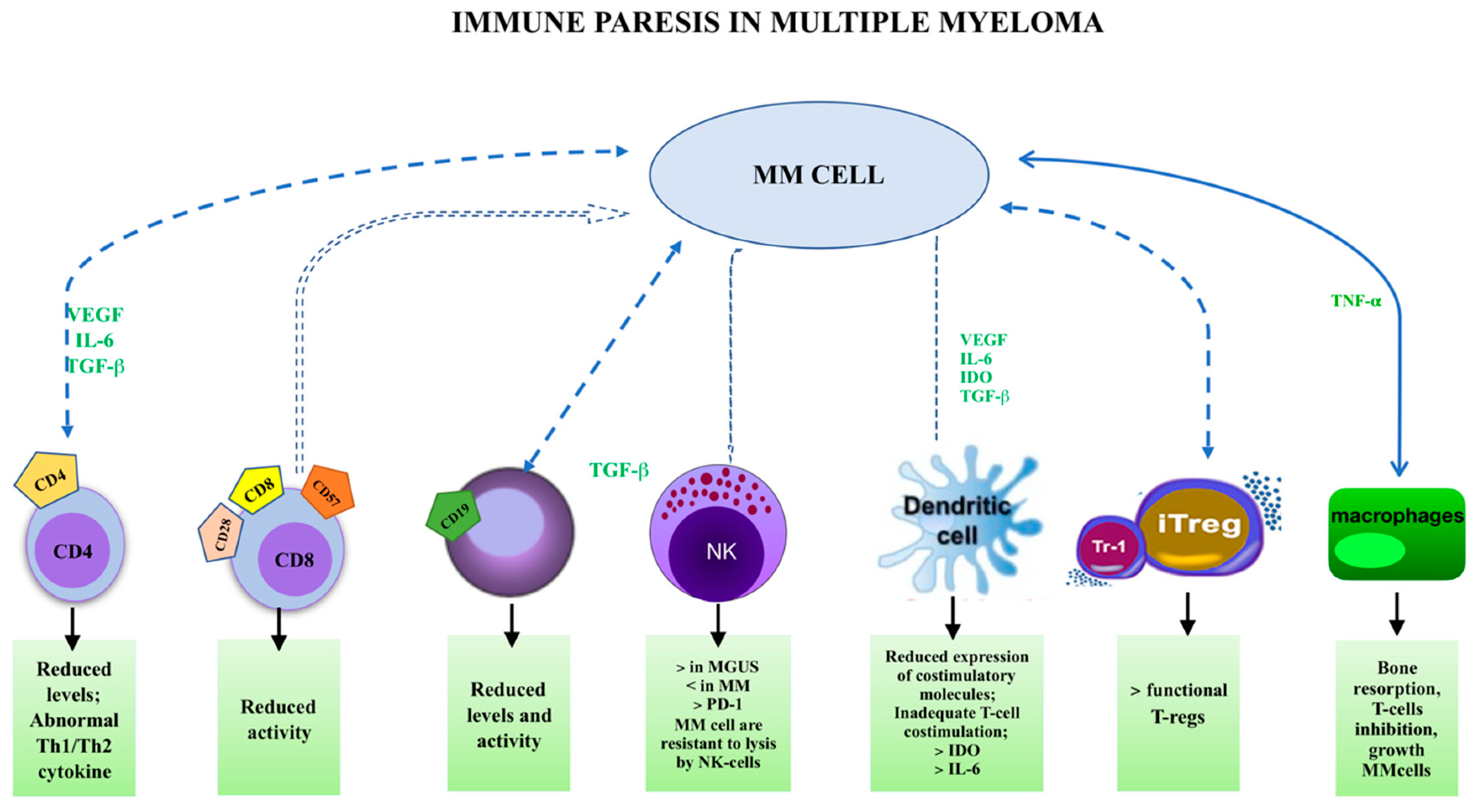 IJMS Free Full-Text | Lymphocyte Subsets and Inflammatory Cytokines of Gammopathy of Significance and Multiple