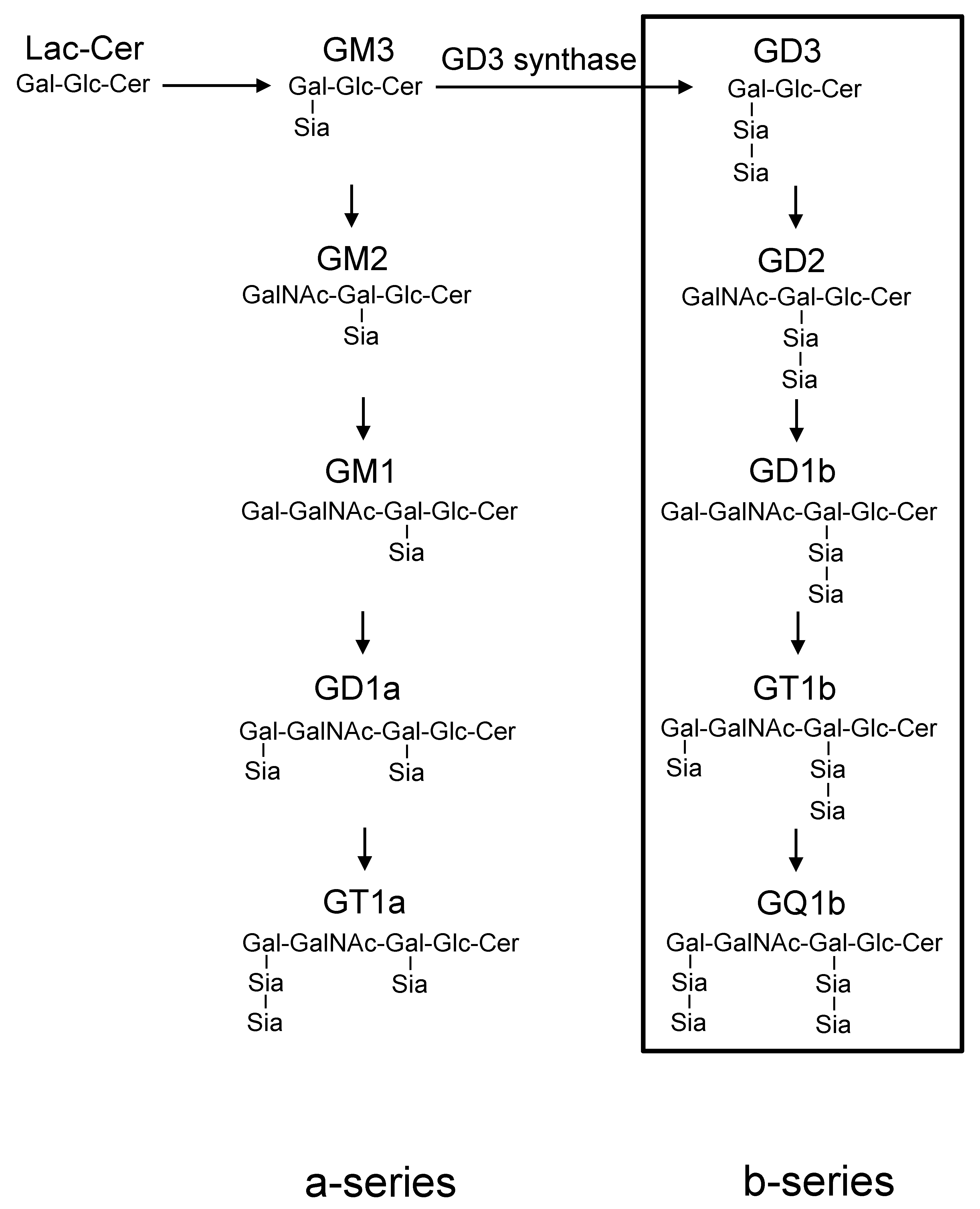 Ijms 20 02825 g001 Ijms 20 02825 g001