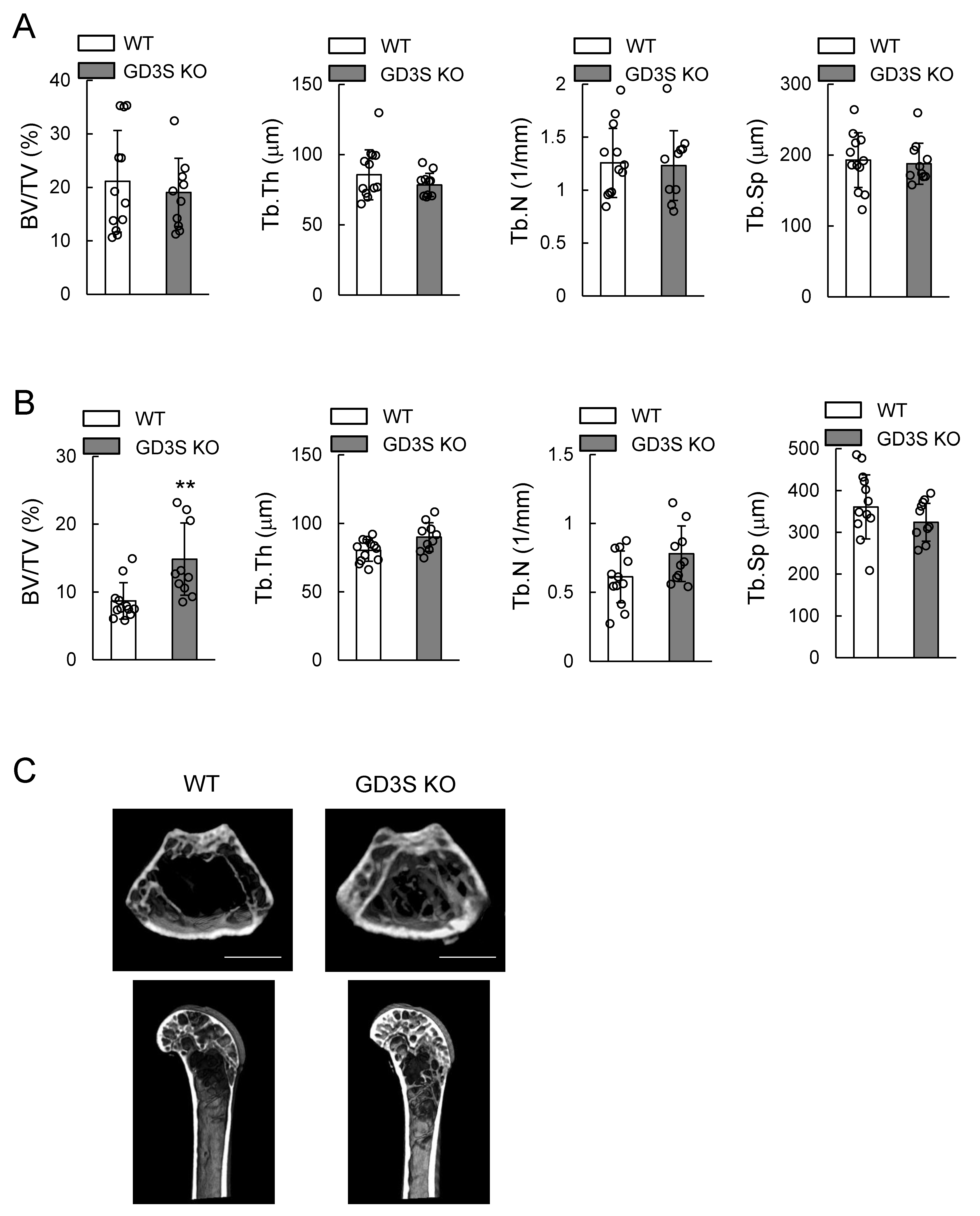 Ijms 20 02825 g004 Ijms 20 02825 g004
