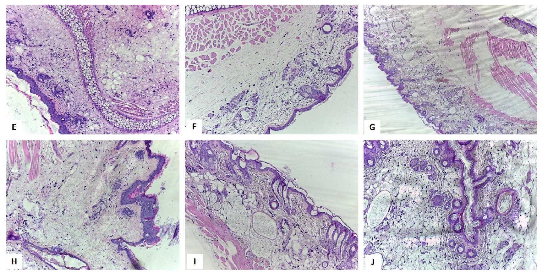 Ijms 20 02828 g008 Ijms 20 02828 g008