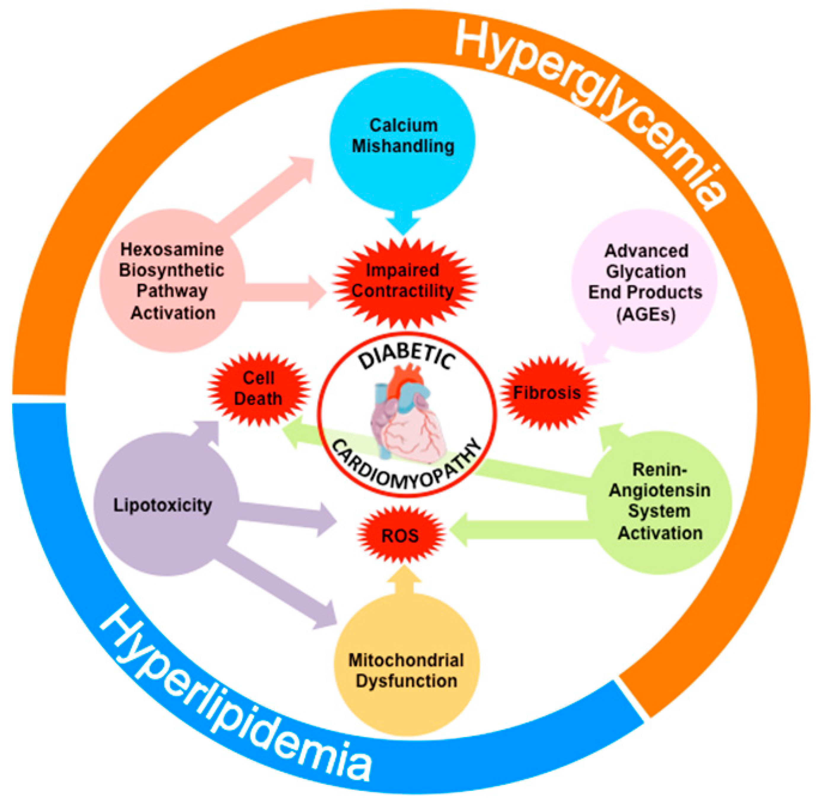 Ijms 20 02833 g001 Ijms 20 02833 g001