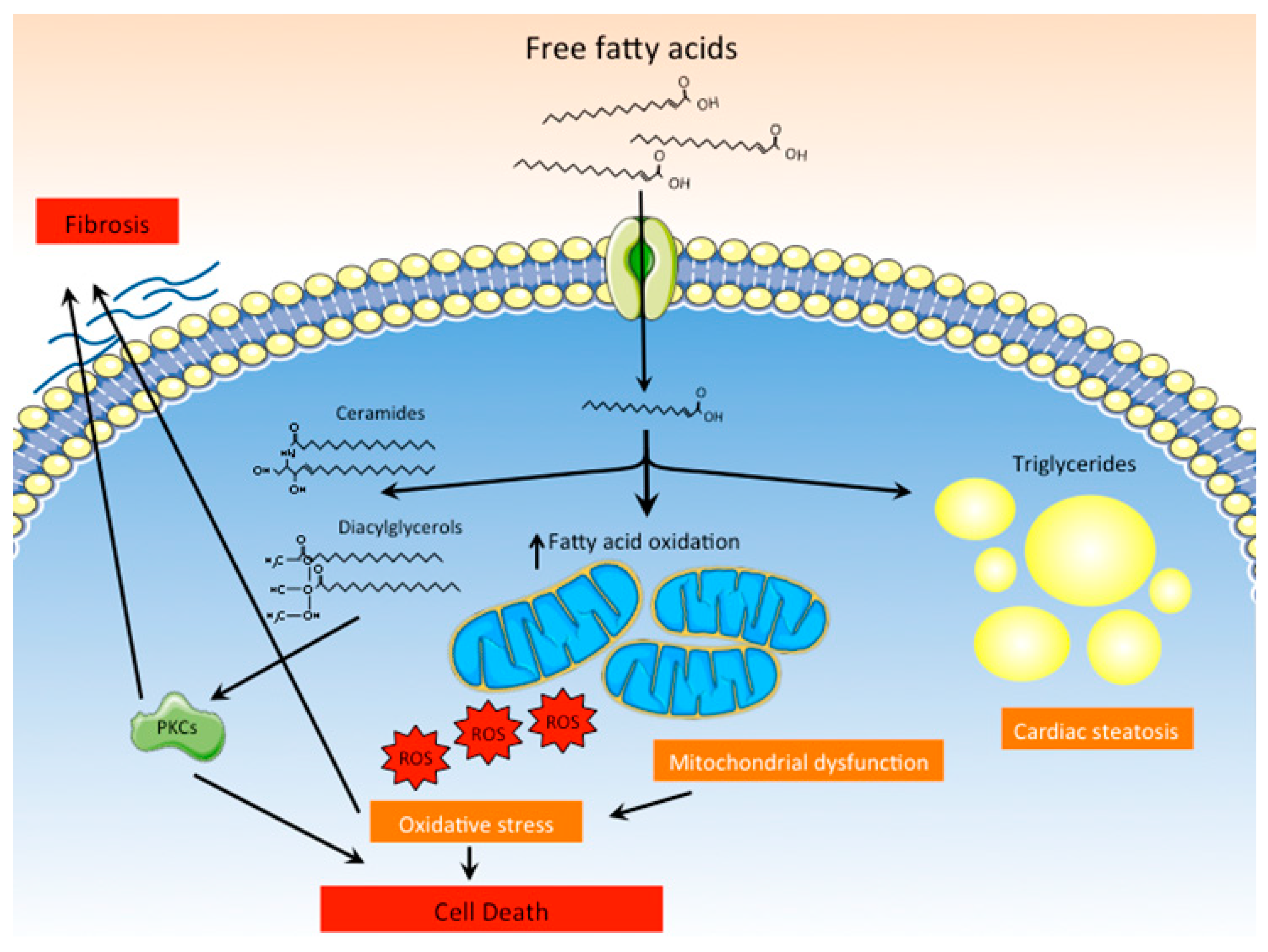 Ijms 20 02833 g003 Ijms 20 02833 g003