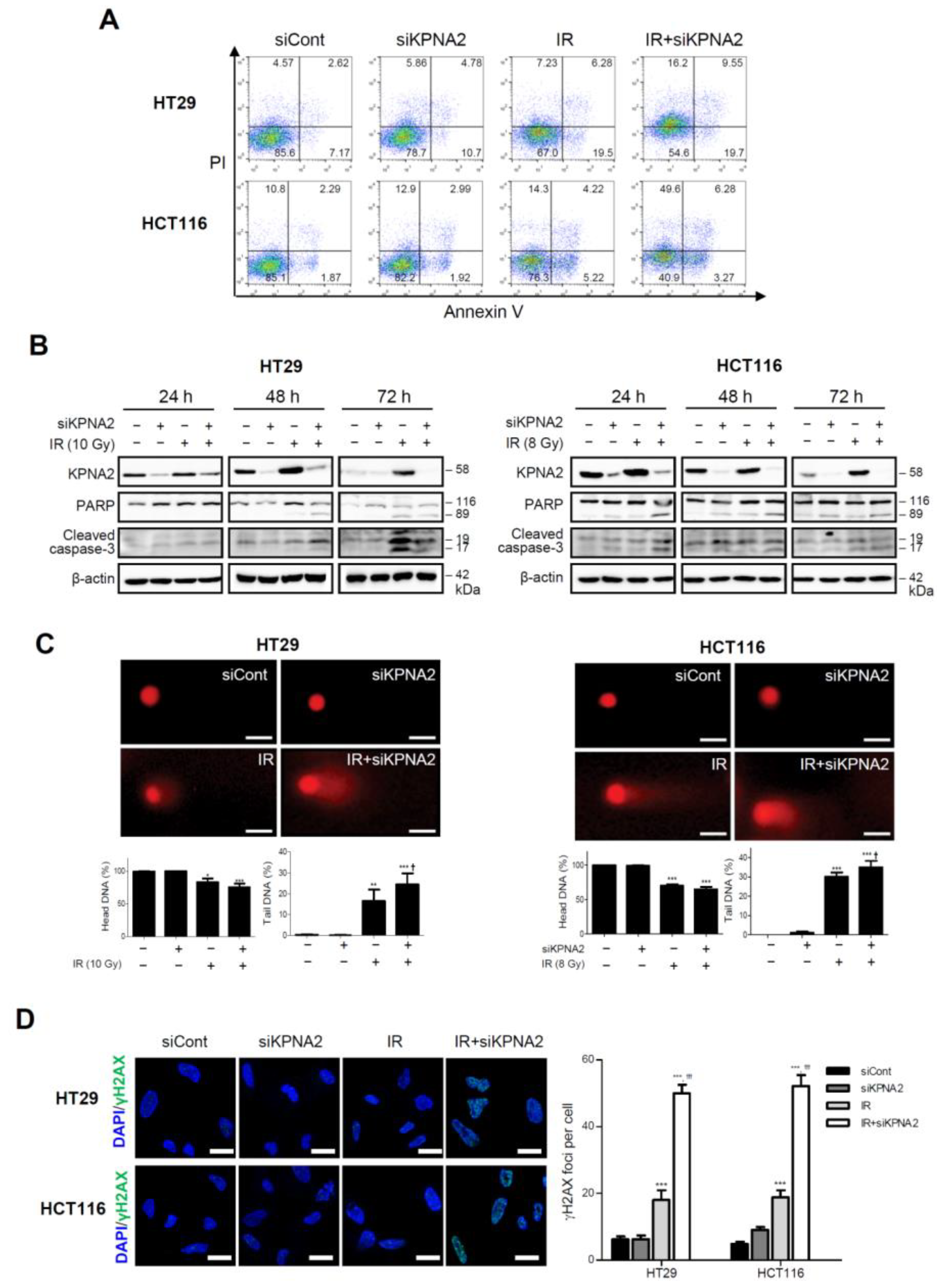 Ijms 20 02843 g002 Ijms 20 02843 g002
