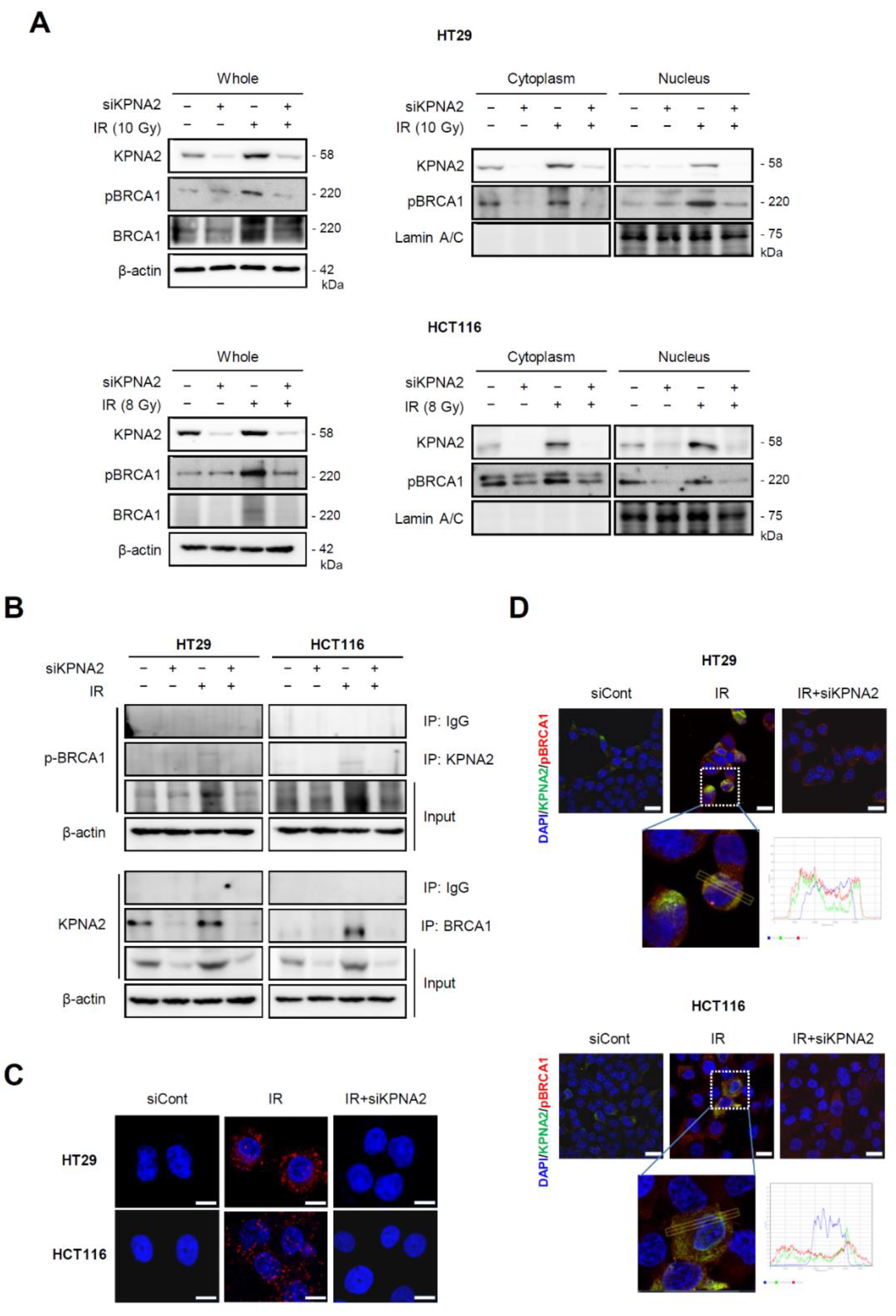 Ijms 20 02843 g003 Ijms 20 02843 g003
