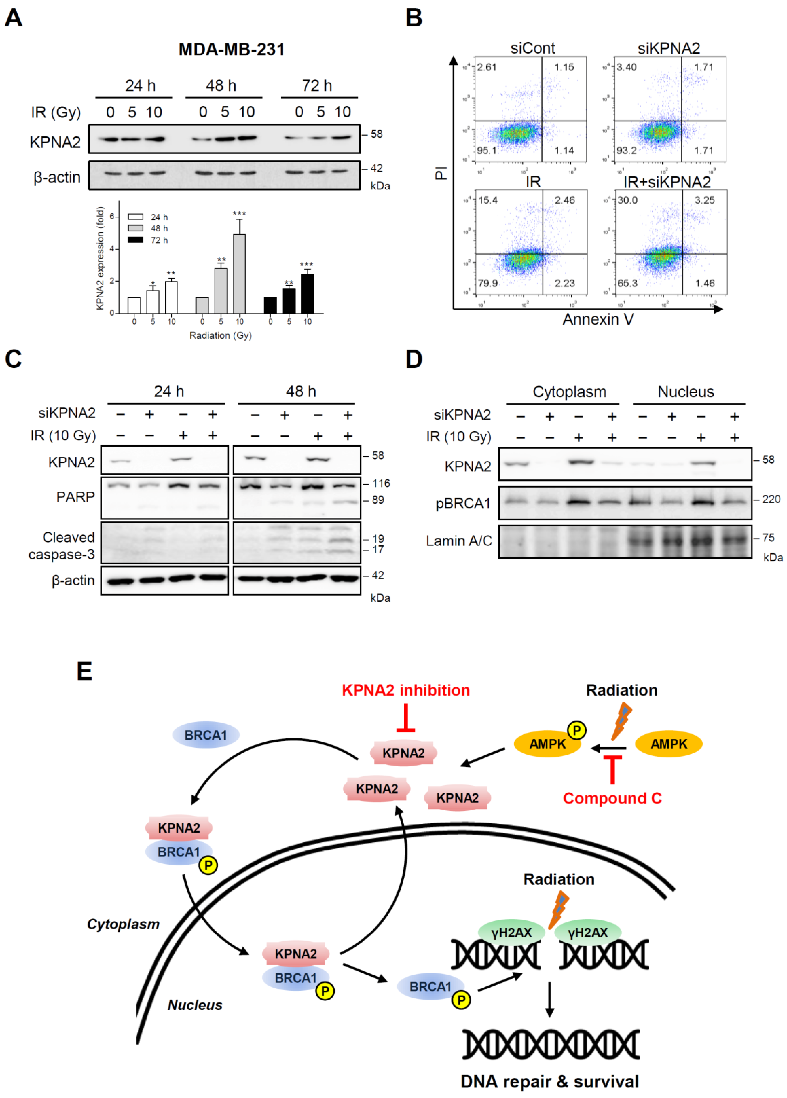 Ijms 20 02843 g005 Ijms 20 02843 g005
