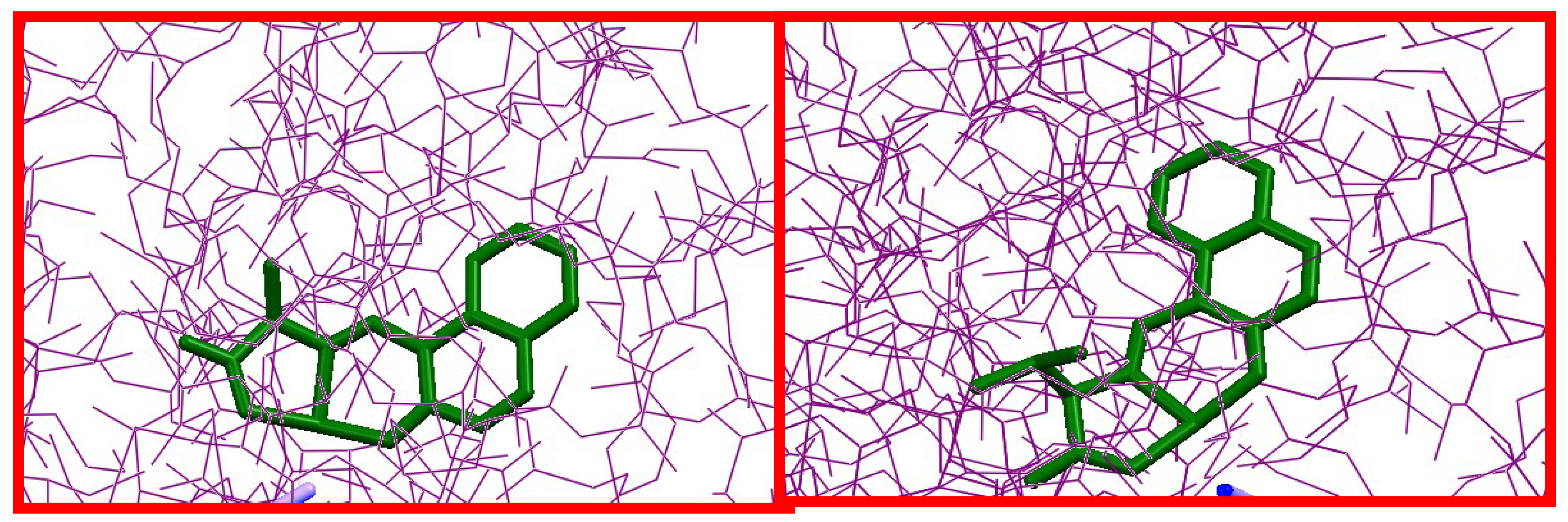 Ijms 20 02846 g009 Ijms 20 02846 g009