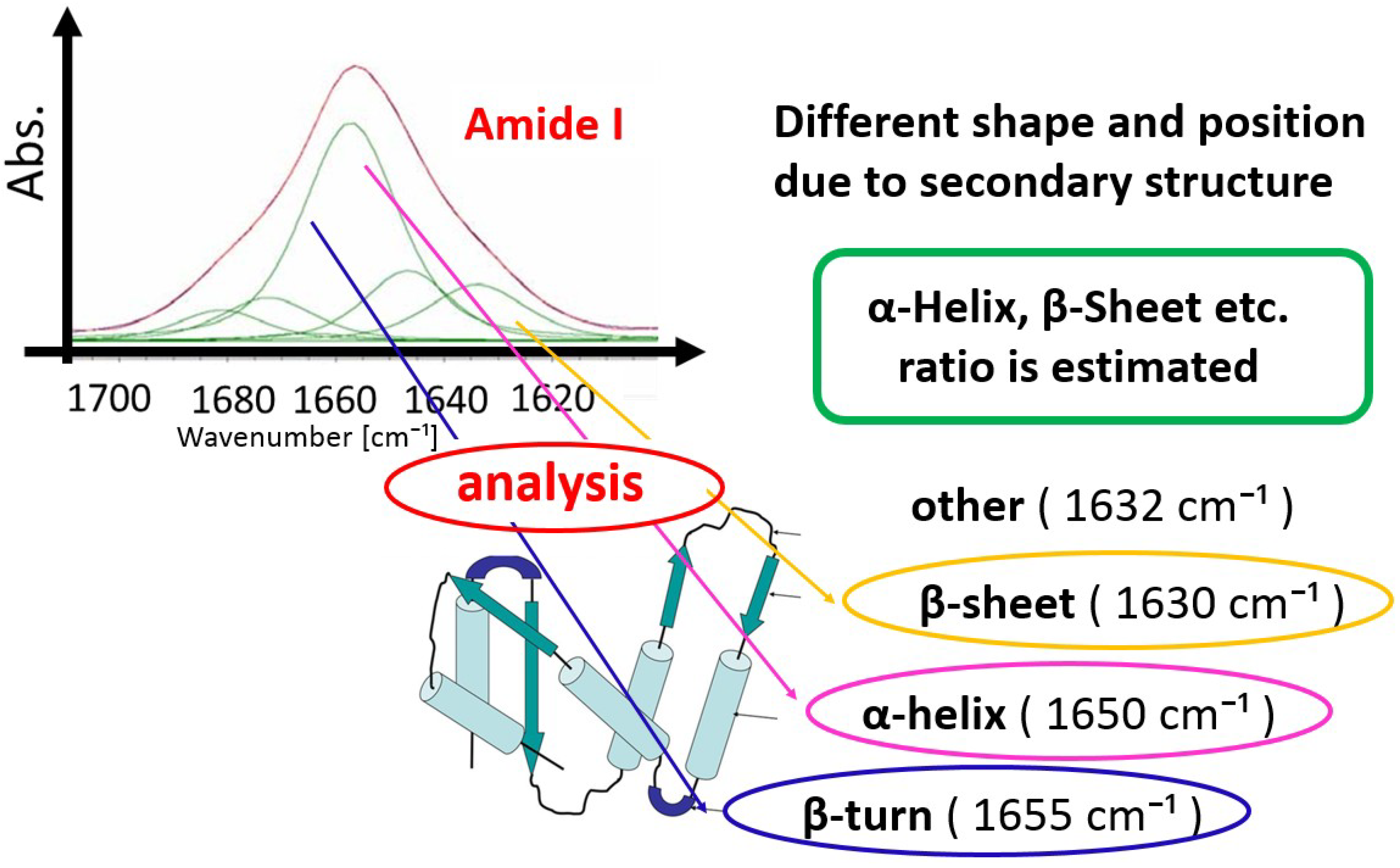 Ijms 20 02846 sch003 Ijms 20 02846 sch003