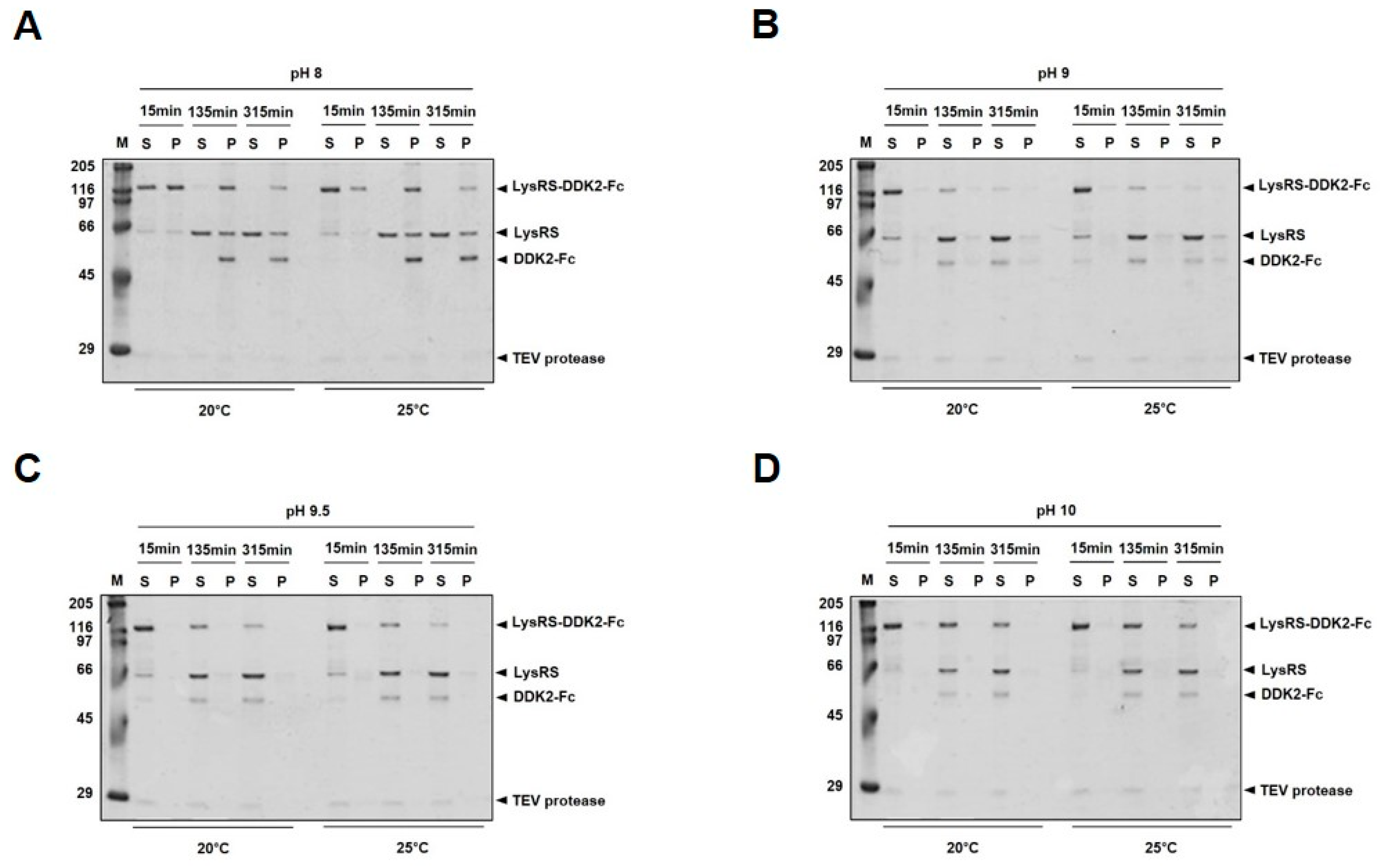 Ijms 20 02847 g002 Ijms 20 02847 g002