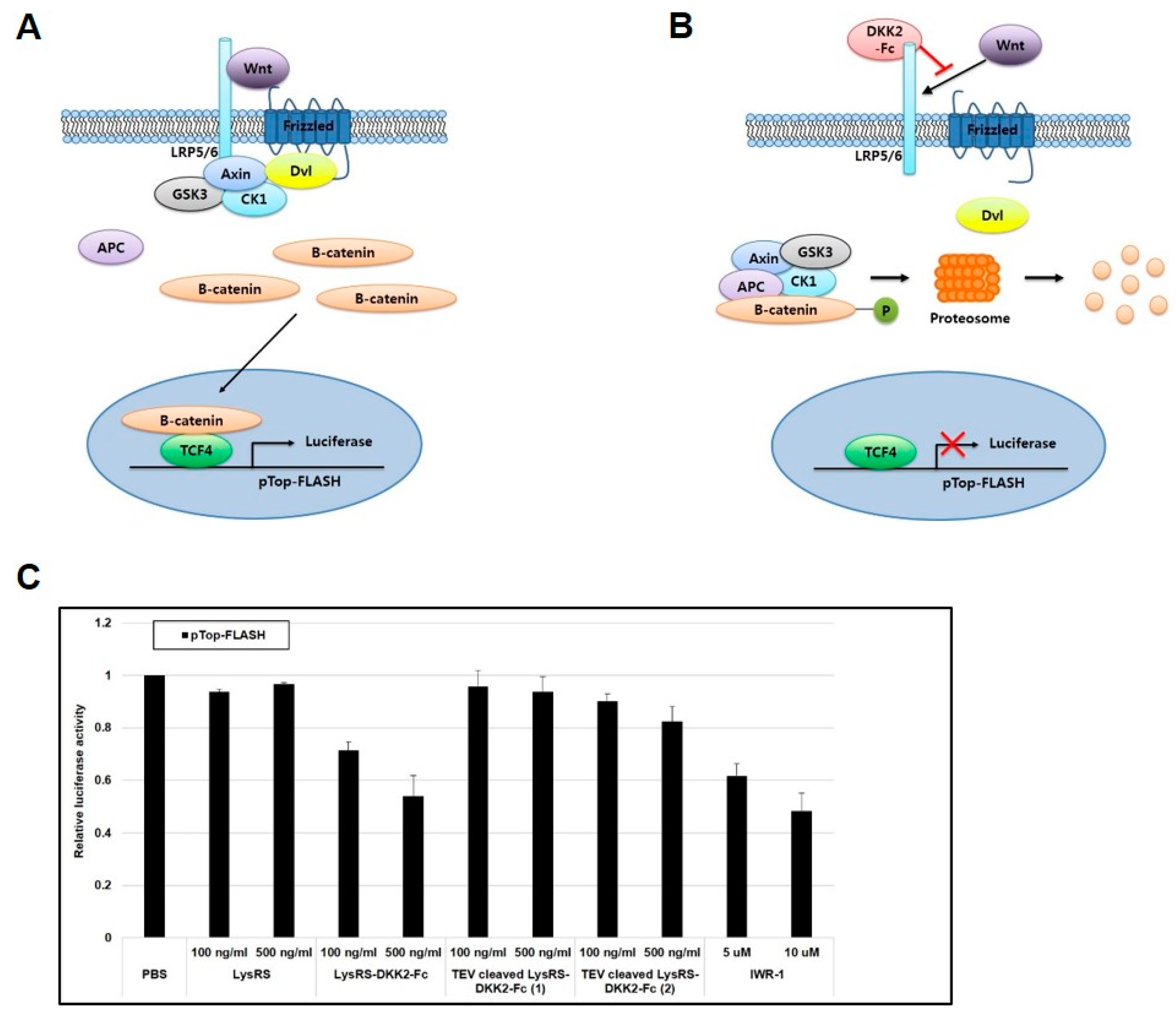 Ijms 20 02847 g004a Ijms 20 02847 g004a