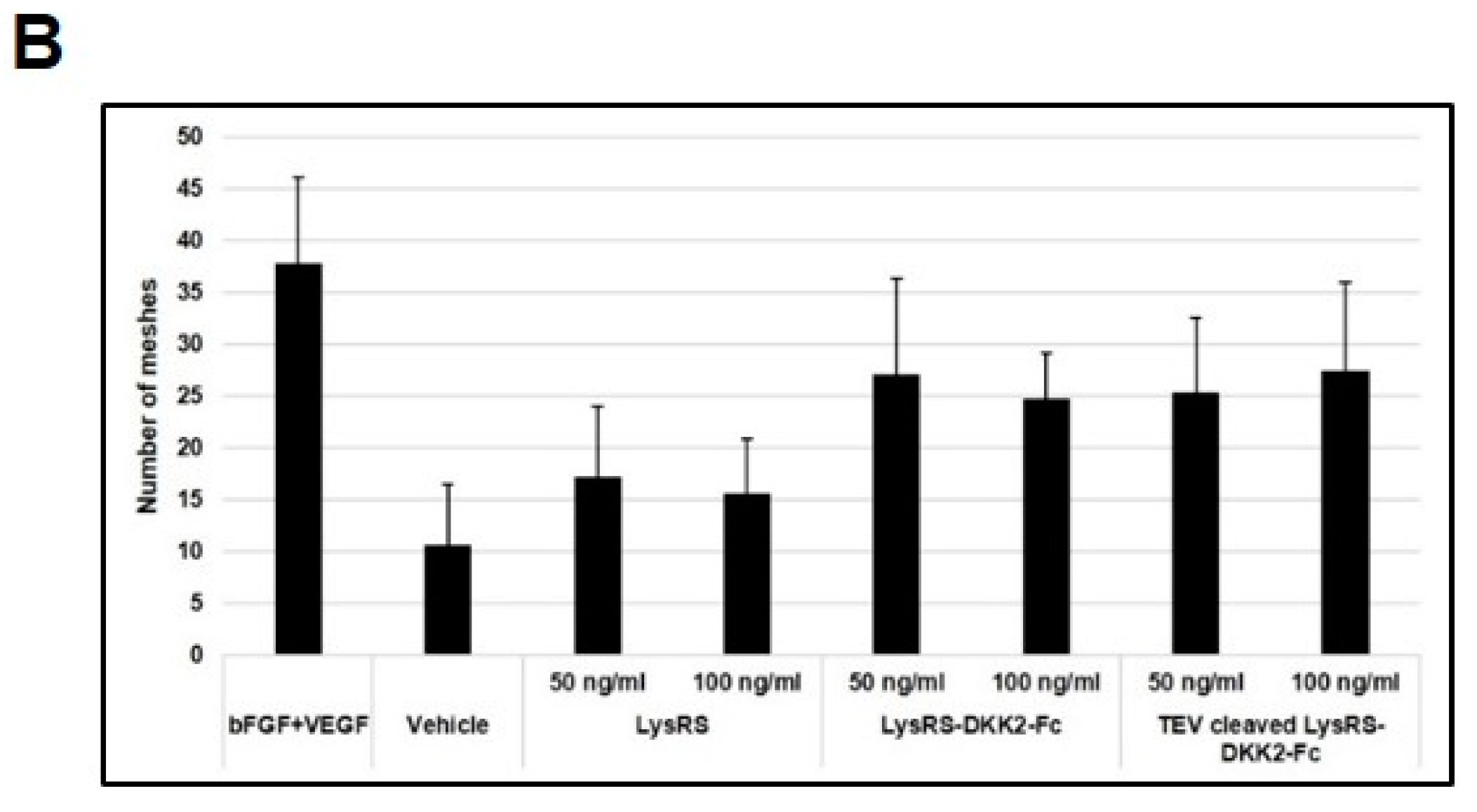 Ijms 20 02847 g005b Ijms 20 02847 g005b