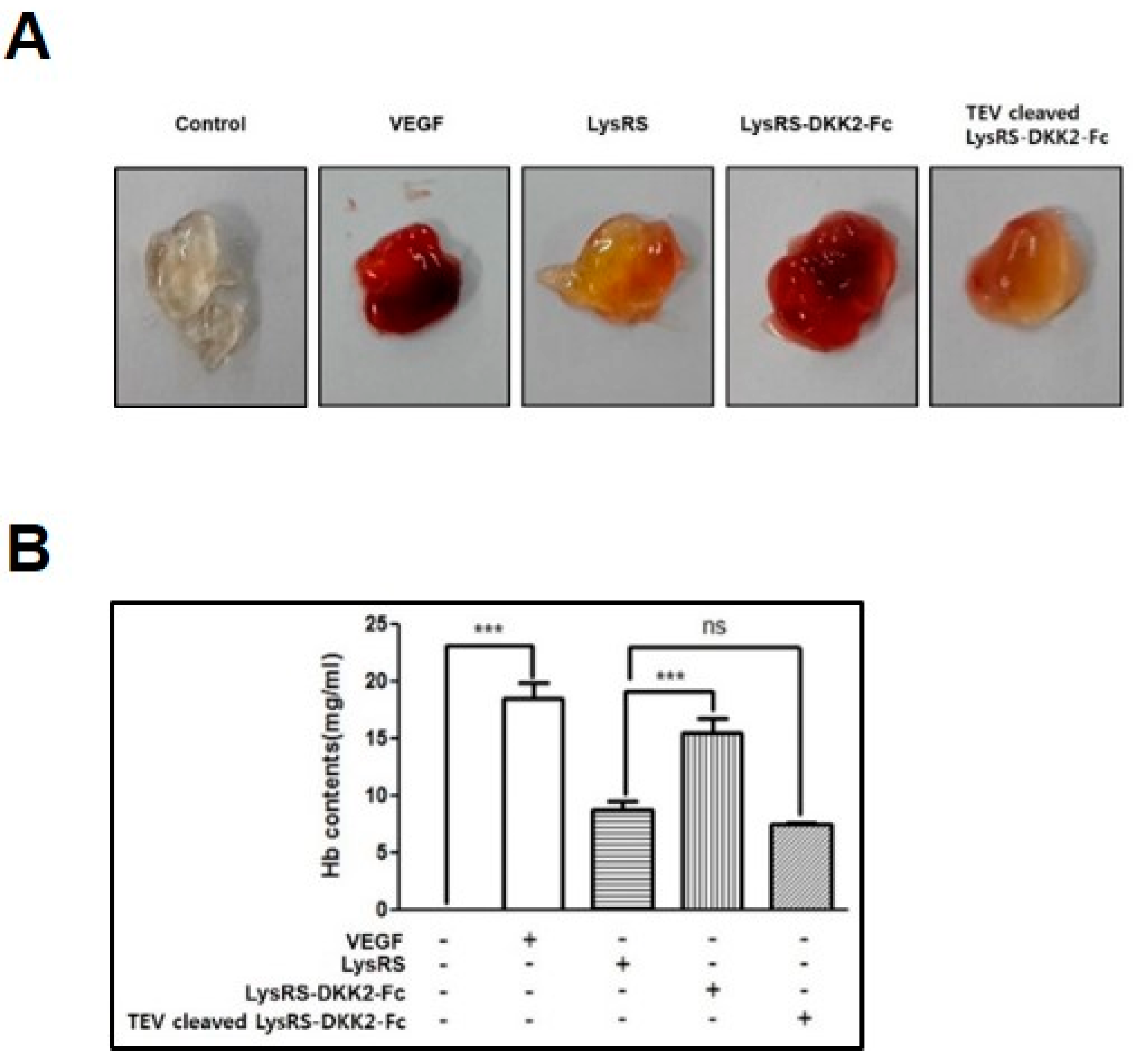 Ijms 20 02847 g006 Ijms 20 02847 g006