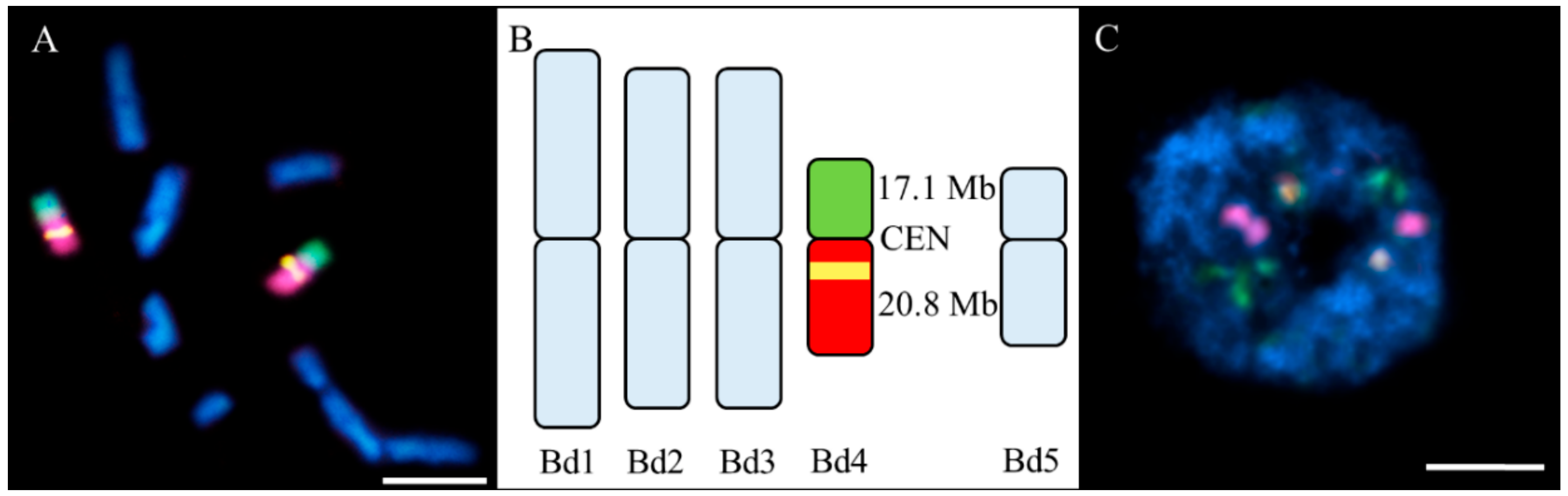 Ijms 20 02848 g002 Ijms 20 02848 g002