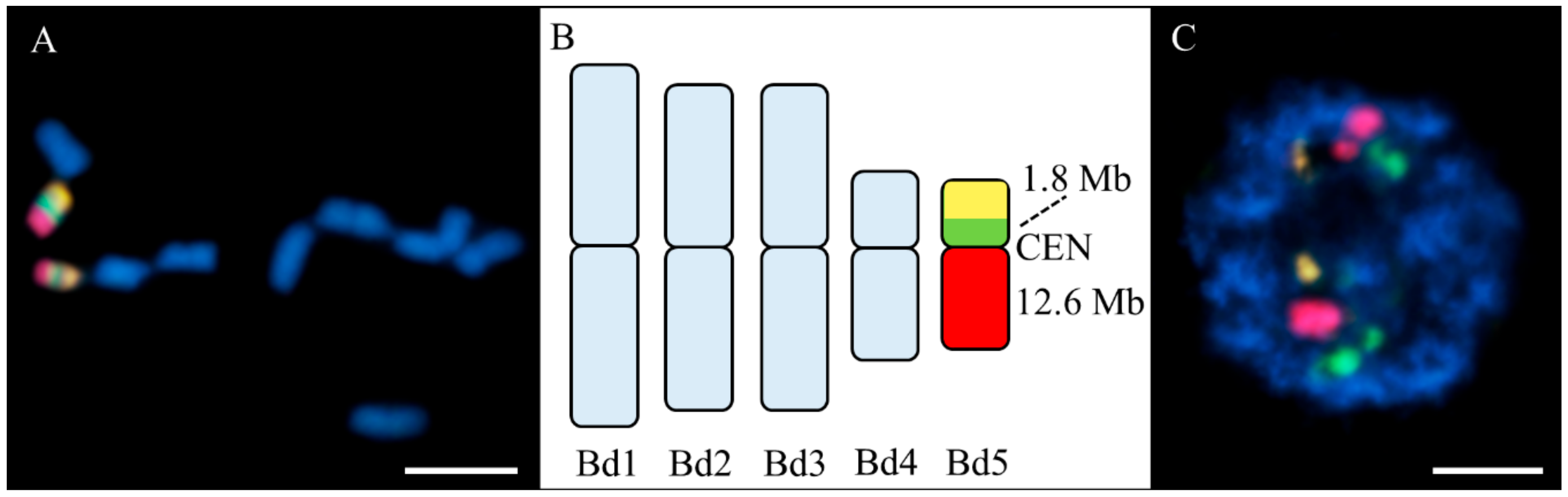 Ijms 20 02848 g005 Ijms 20 02848 g005