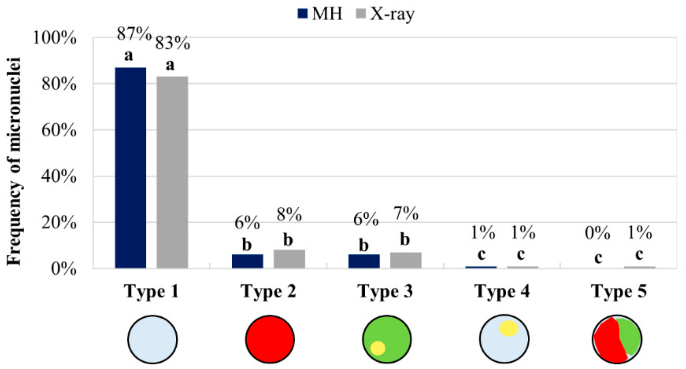 Ijms 20 02848 g007 Ijms 20 02848 g007