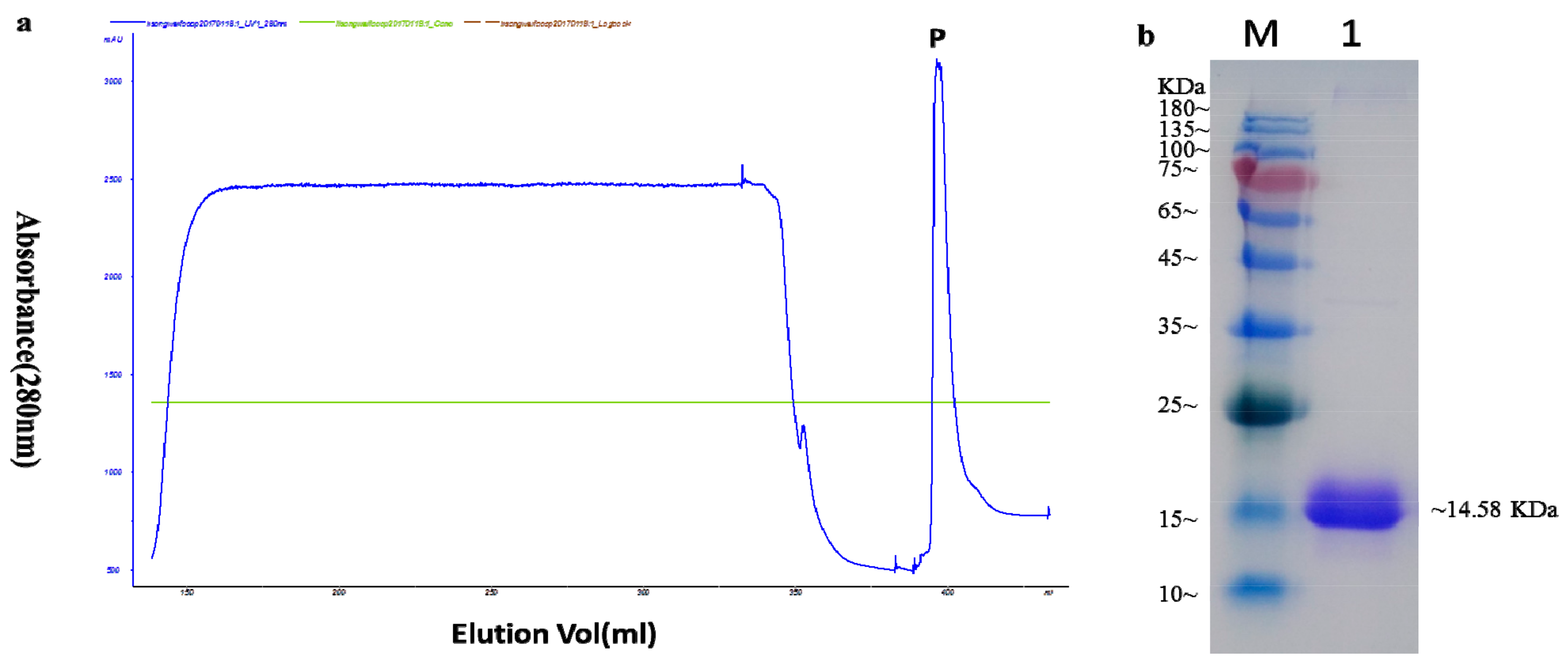 Ijms 20 02849 g002 Ijms 20 02849 g002